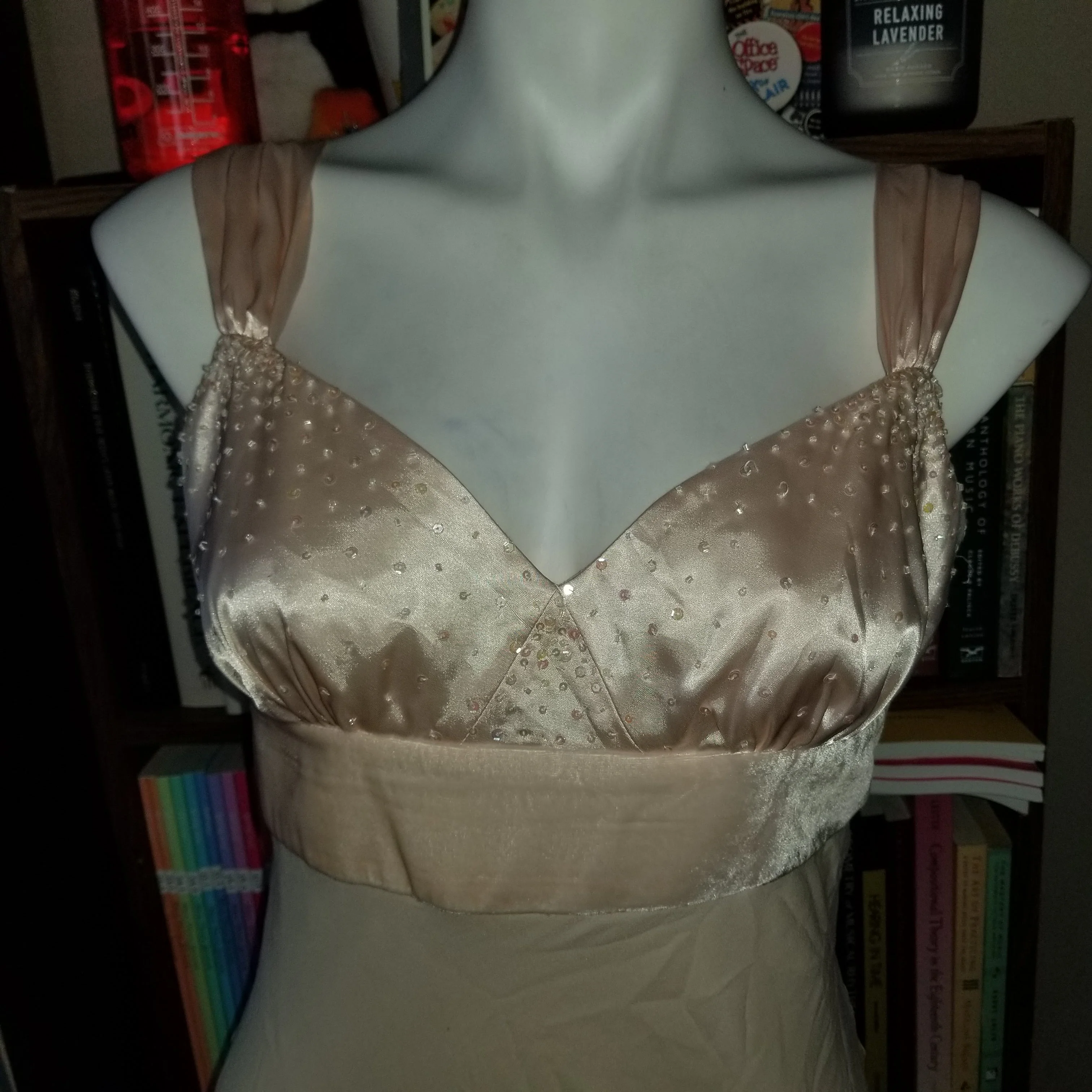 00s Nwot Champagne Silk Satin/chiffon/velvet Gown By BCBG - Image 3