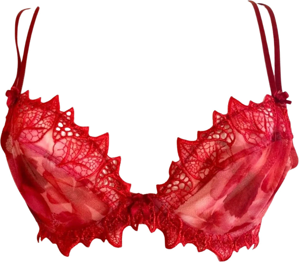 00s Vintage Lise Charmel Red Floral Bra 32c By Lise Charmel