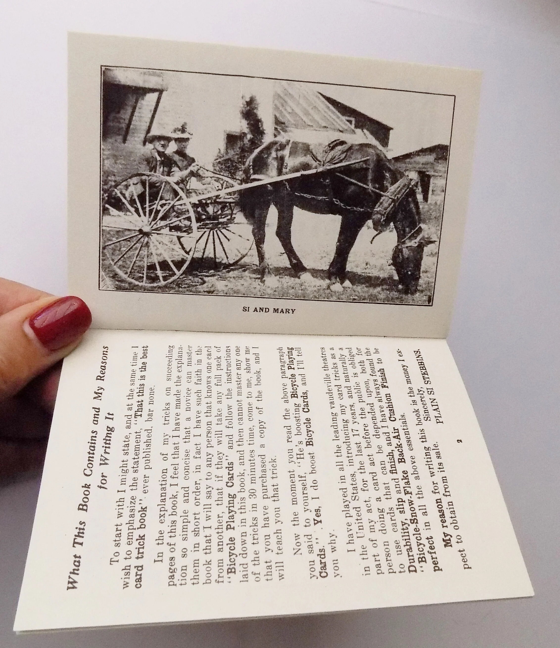 1898 Si Stebbins Card Tricks and The Way He Performs Them by Donmeyer Garden Co - Image 5