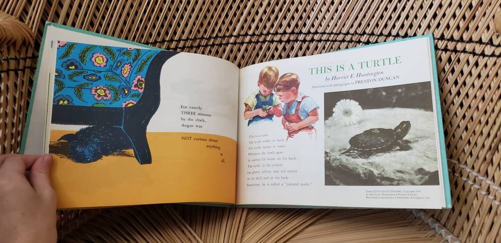 1962 Tiny Tots Picture Books: Angus and The Ducks This Is a Turtle Fun In Verseland The Gingerbread Boy +more by Marjorie Flack - Image 5