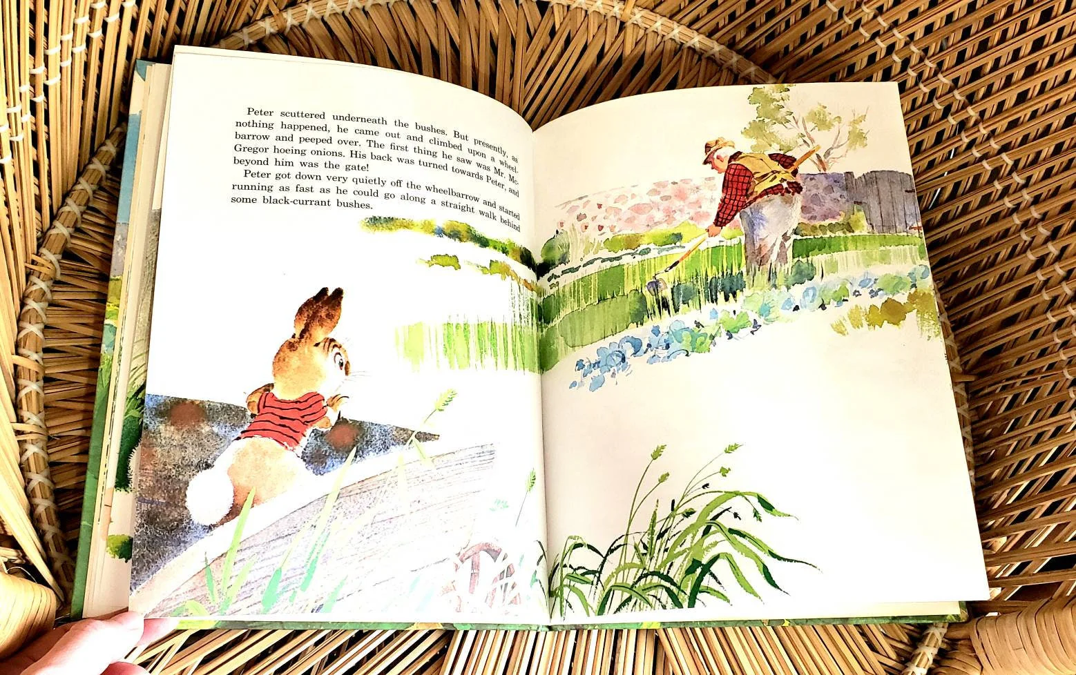 1963 The Tale of Peter Rabbit Beatrix Potter Illustrated Merrigold Press by Rod Ruth - Image 6