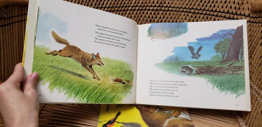 1972 Now You Know Books Set of 2 Now You Know Animal Homes and Now You Know How Animals Stay Alive - Image 10