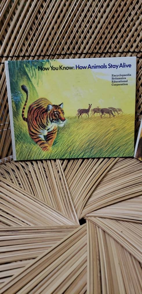 1972 Now You Know Books Set of 2 Now You Know Animal Homes and Now You Know How Animals Stay Alive - Image 2