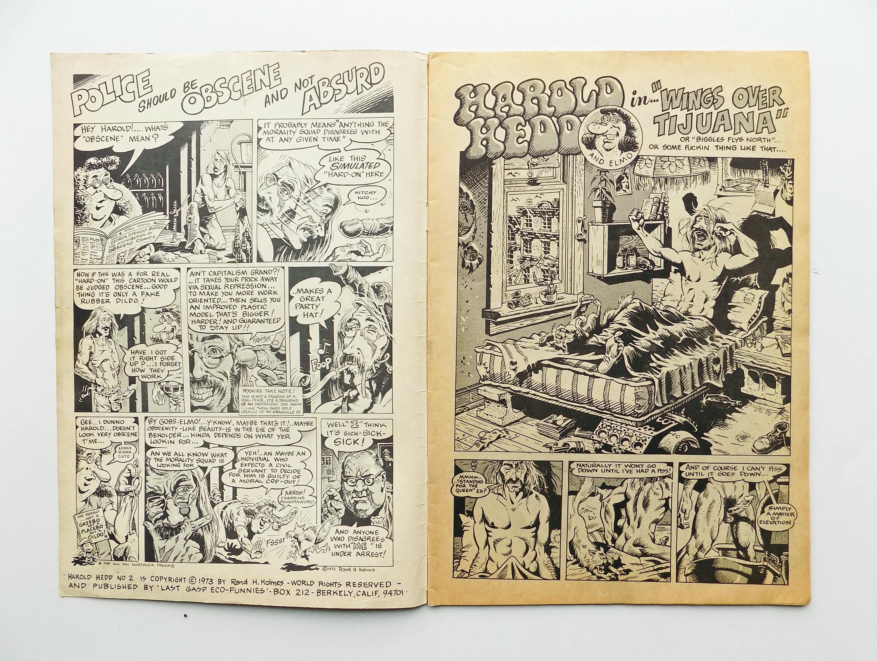 1973 Harold Head Comic Book by Rand H Holmes Last Gap by Rand H Holmes - Image 4