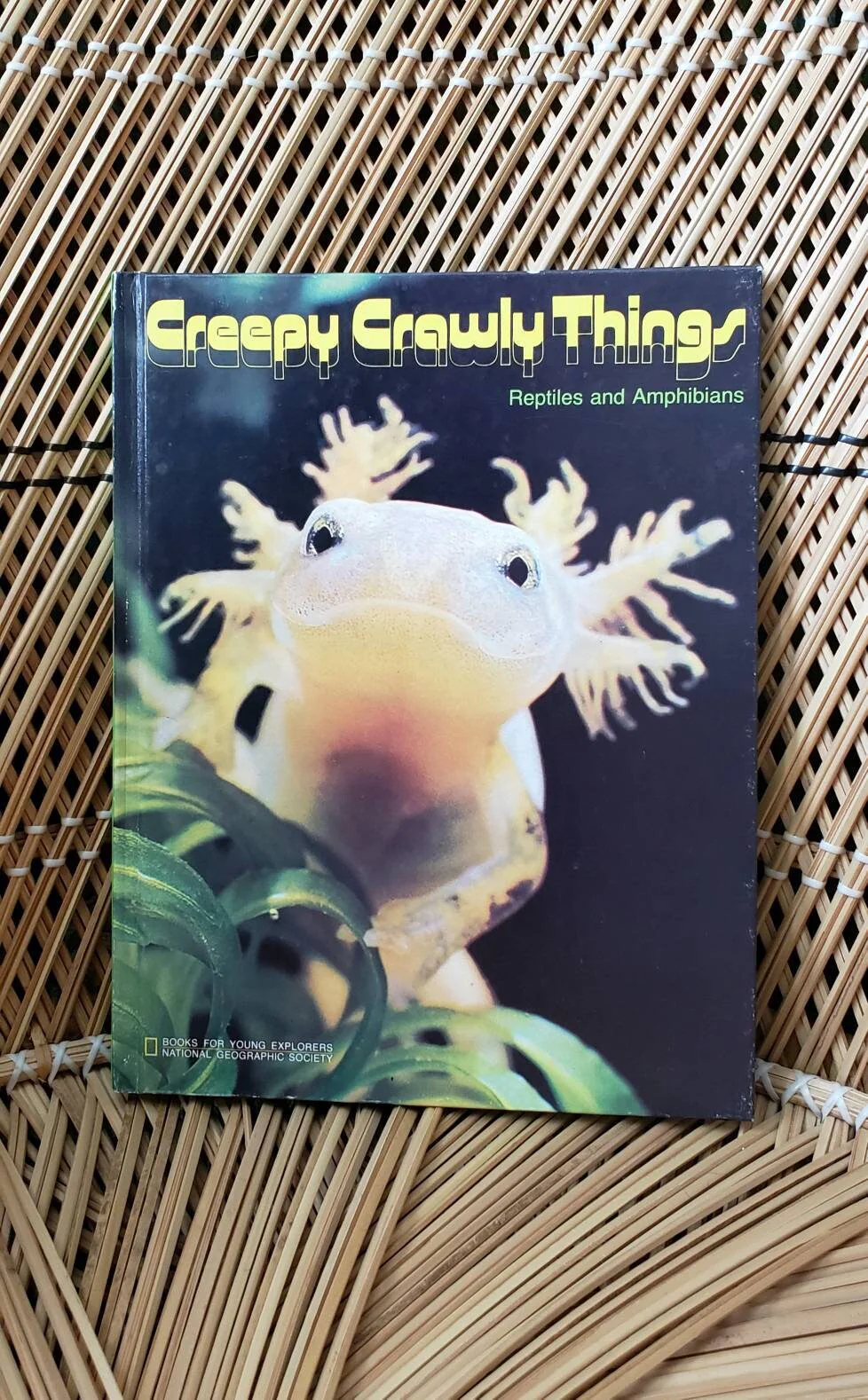 1974 Creepy Crawly Things: Reptiles and Amphibians  Books for Young Explorers by National Geographic Society - Image 2