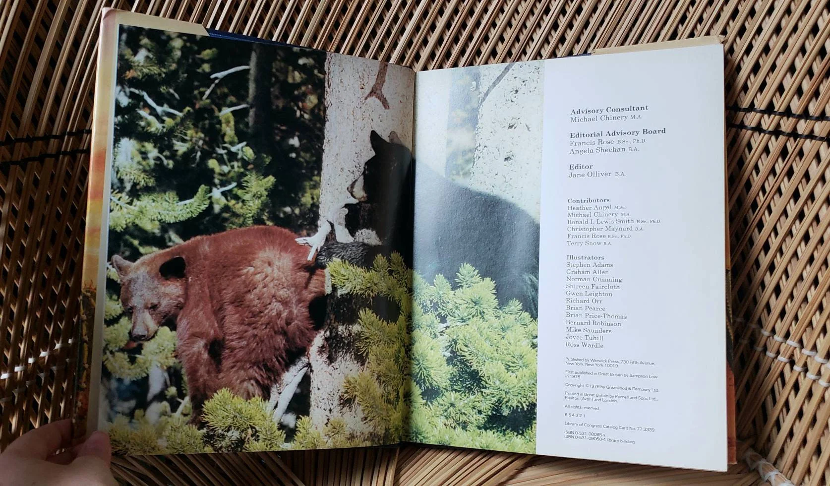 1976 The Living World Book Warwick Press by Jane Oliver - Image 3