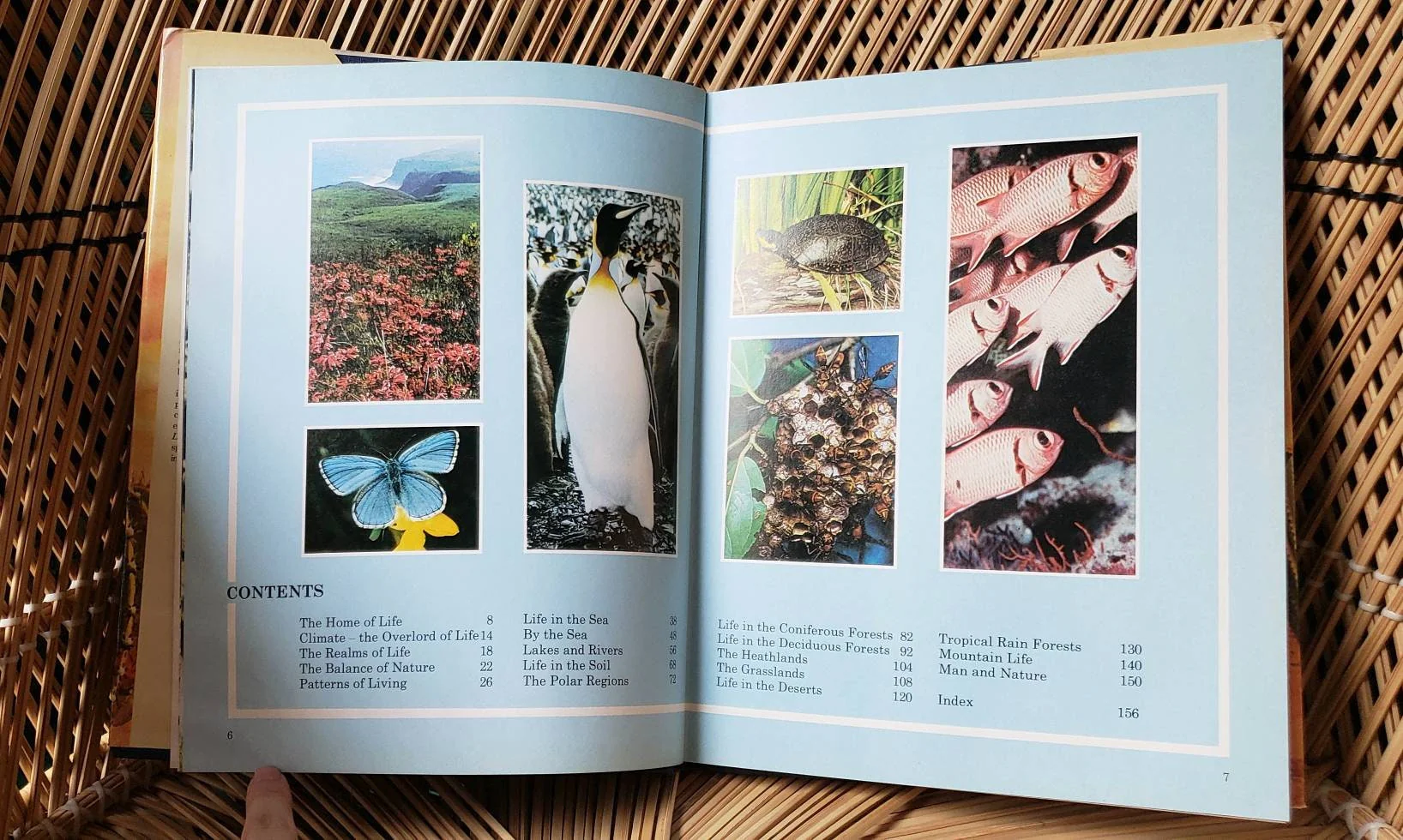 1976 The Living World Book Warwick Press by Jane Oliver - Image 4