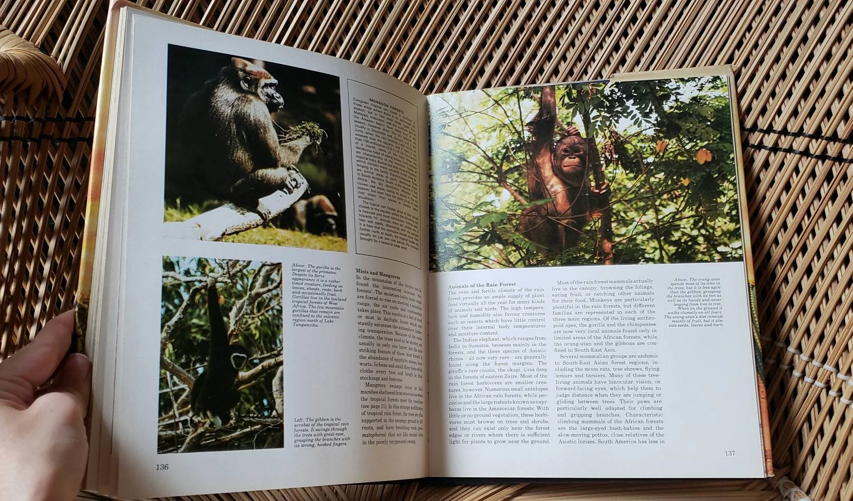 1976 The Living World Book Warwick Press by Jane Oliver - Image 7