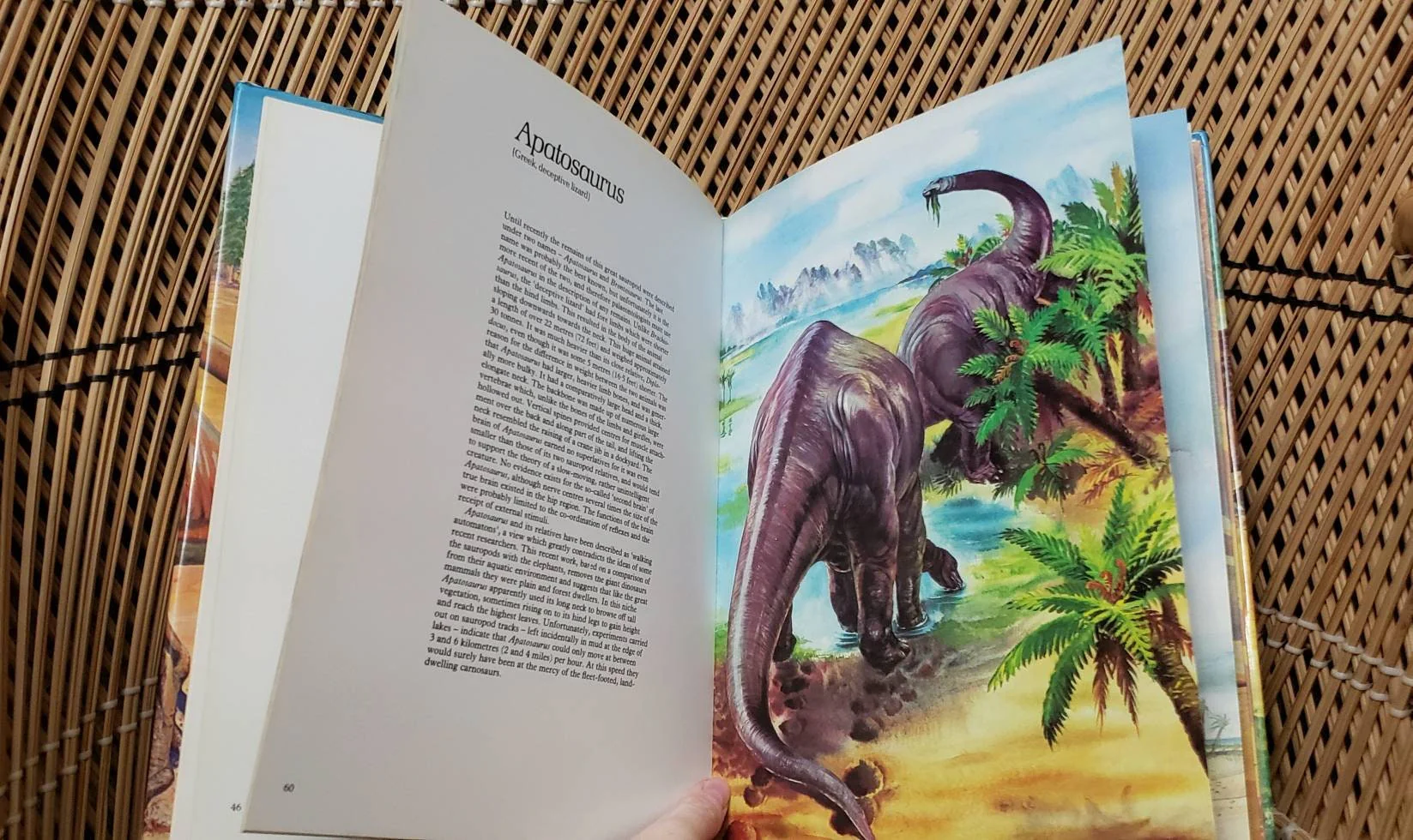 1977 a Natural History of Dinosaurs by Richard Moody - Image 6