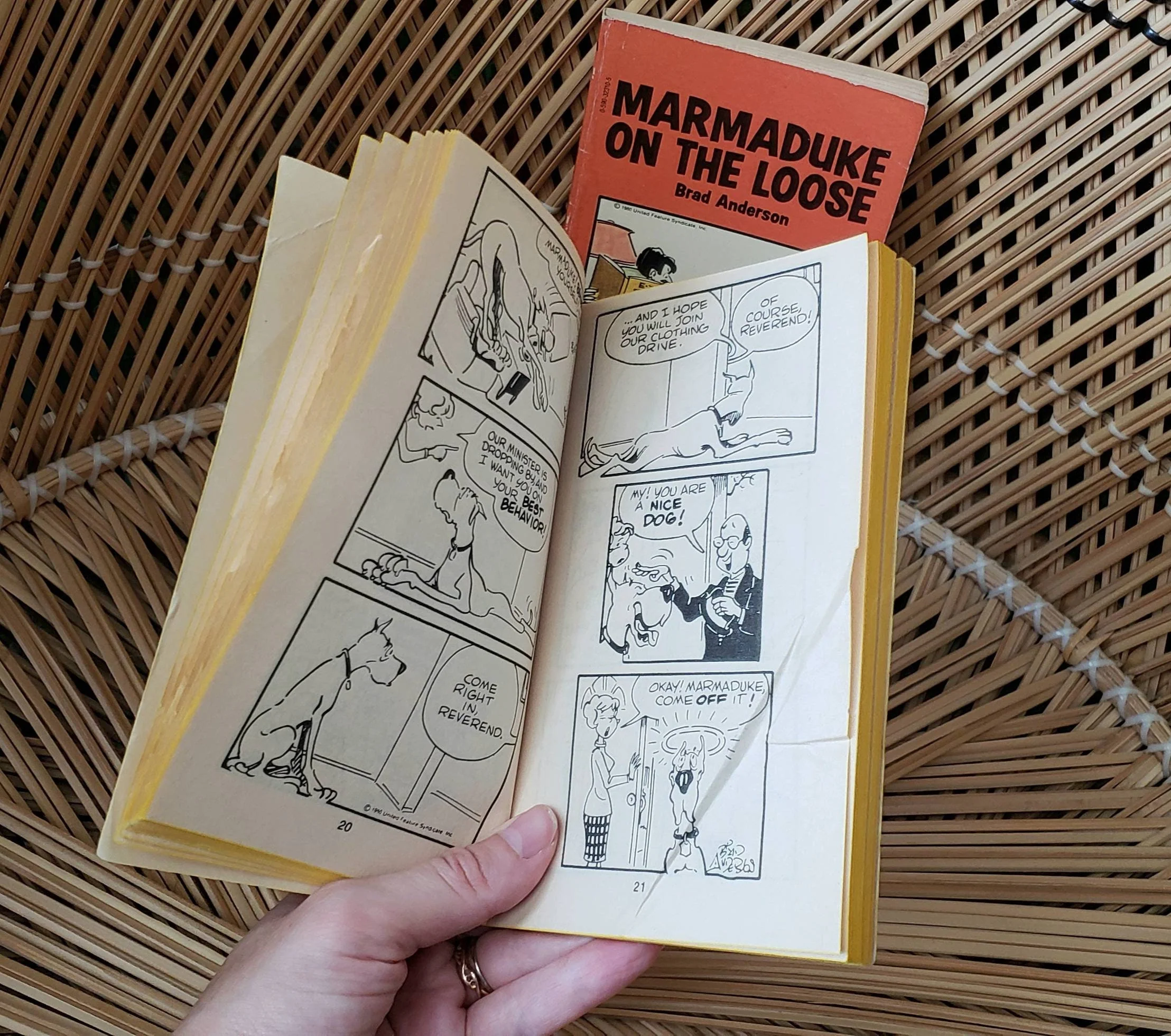 1980 Marmaduke Paperbacks Set of 2 Marmaduke On The Loose and Sitting Pretty Marmaduke by Brad Anderson - Image 10