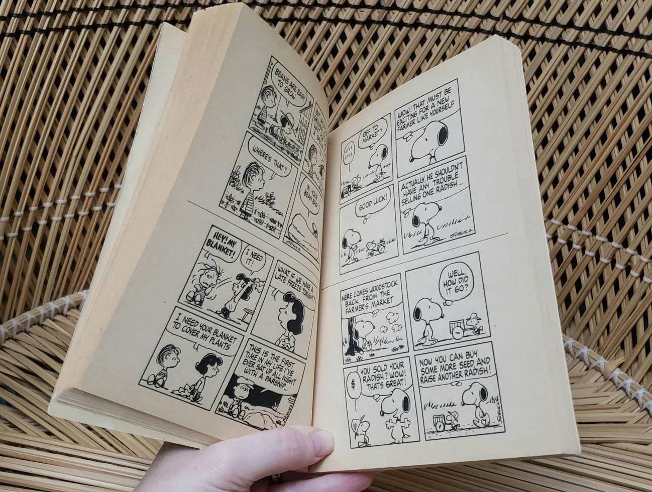 1980 You're Barking Up The Wrong Tree Snoopy by Charles M Schulz - Image 6