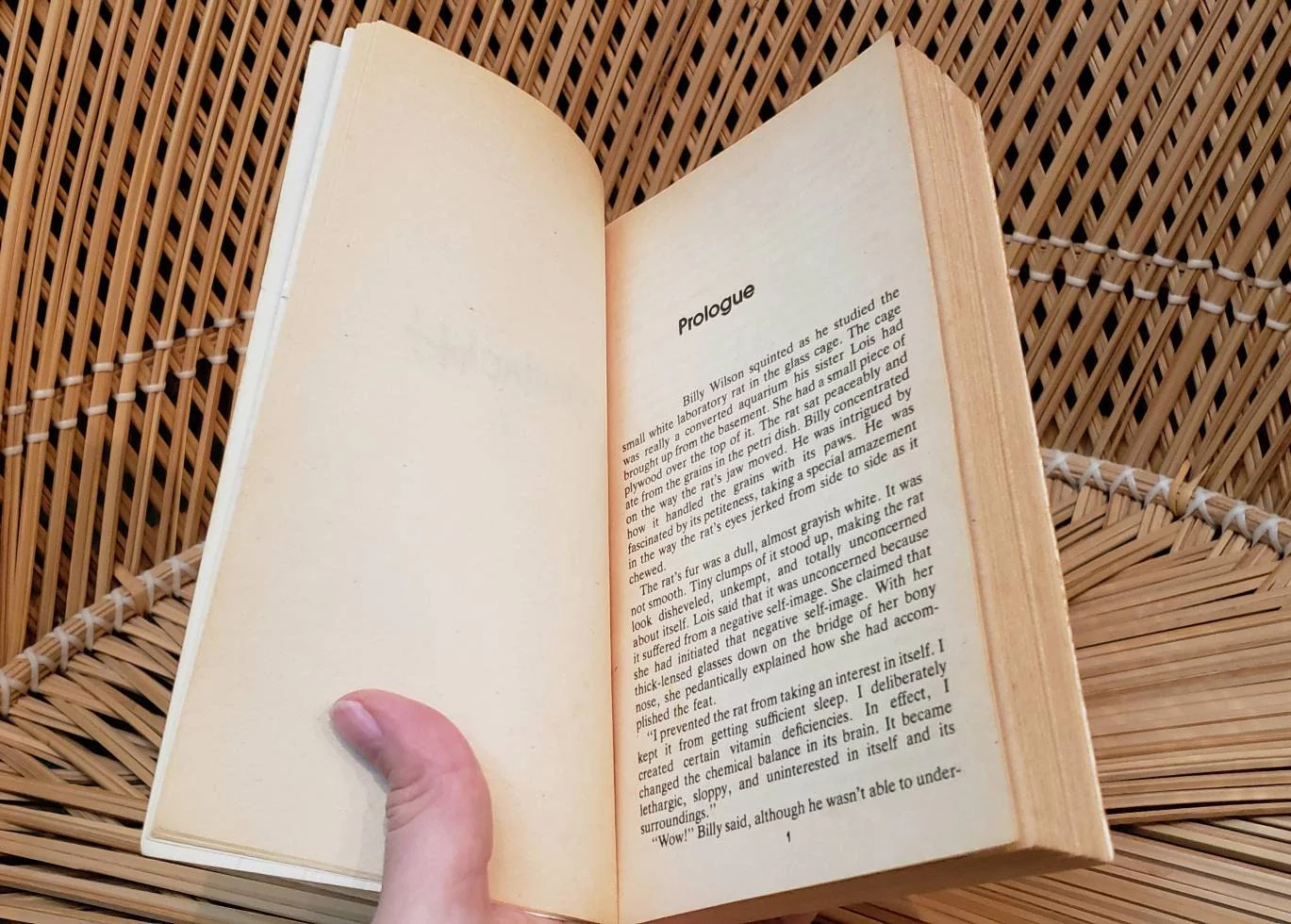 1981 Brainchild Paperback by Andrew Neiderman - Image 5