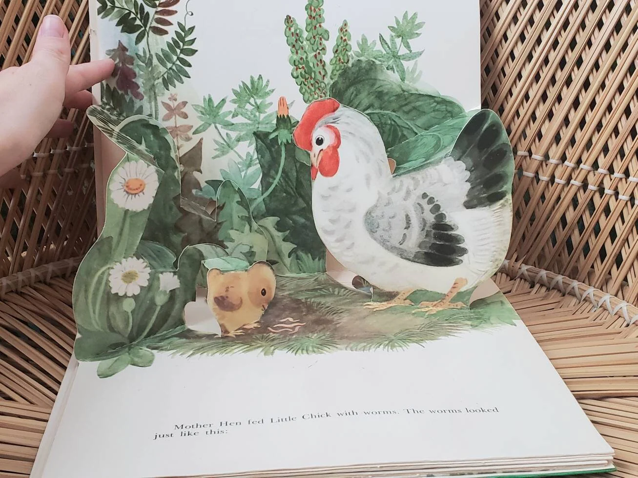 1982 Little Chick Pop-Up Book  Vintage Little Chick by Kornei Chukovsky - Image 5