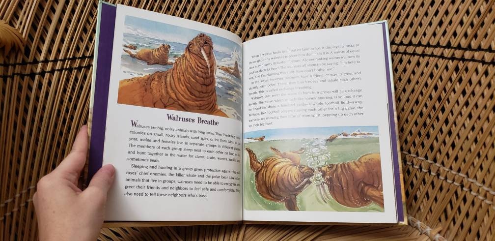 1998 Prairie Dogs Kiss and Lobsters Wave: How Animals Say Hello by Marilyn Singer - Image 3
