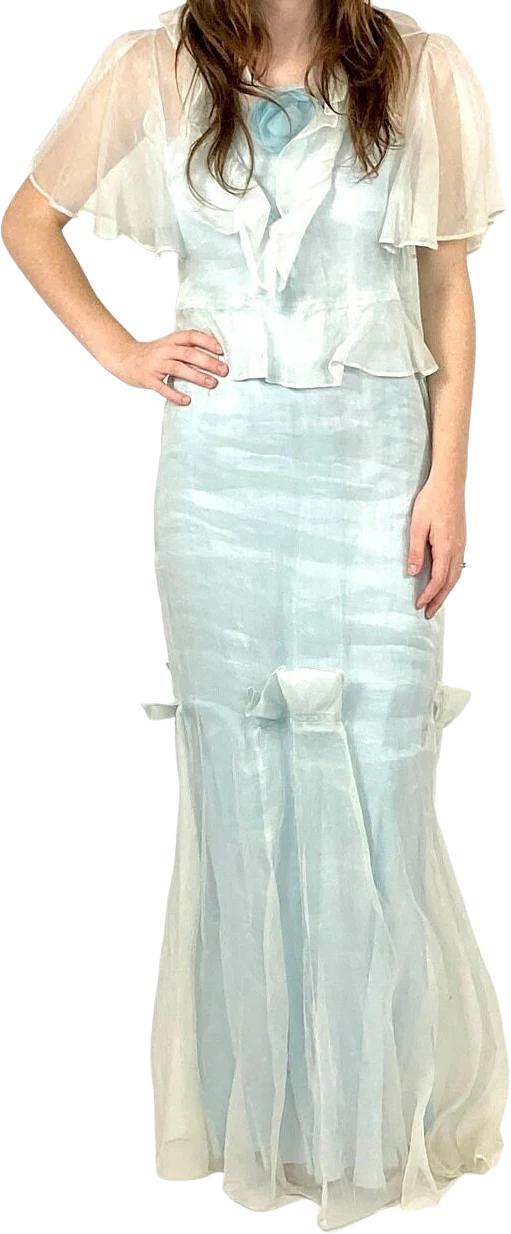 20s Icy Blue Sheer Slip Maxi Dress White Floral Long Goddess Dress Flutter Sleeve Ethereal Art Deco Dress Vintage Organza Peplum Sundress
