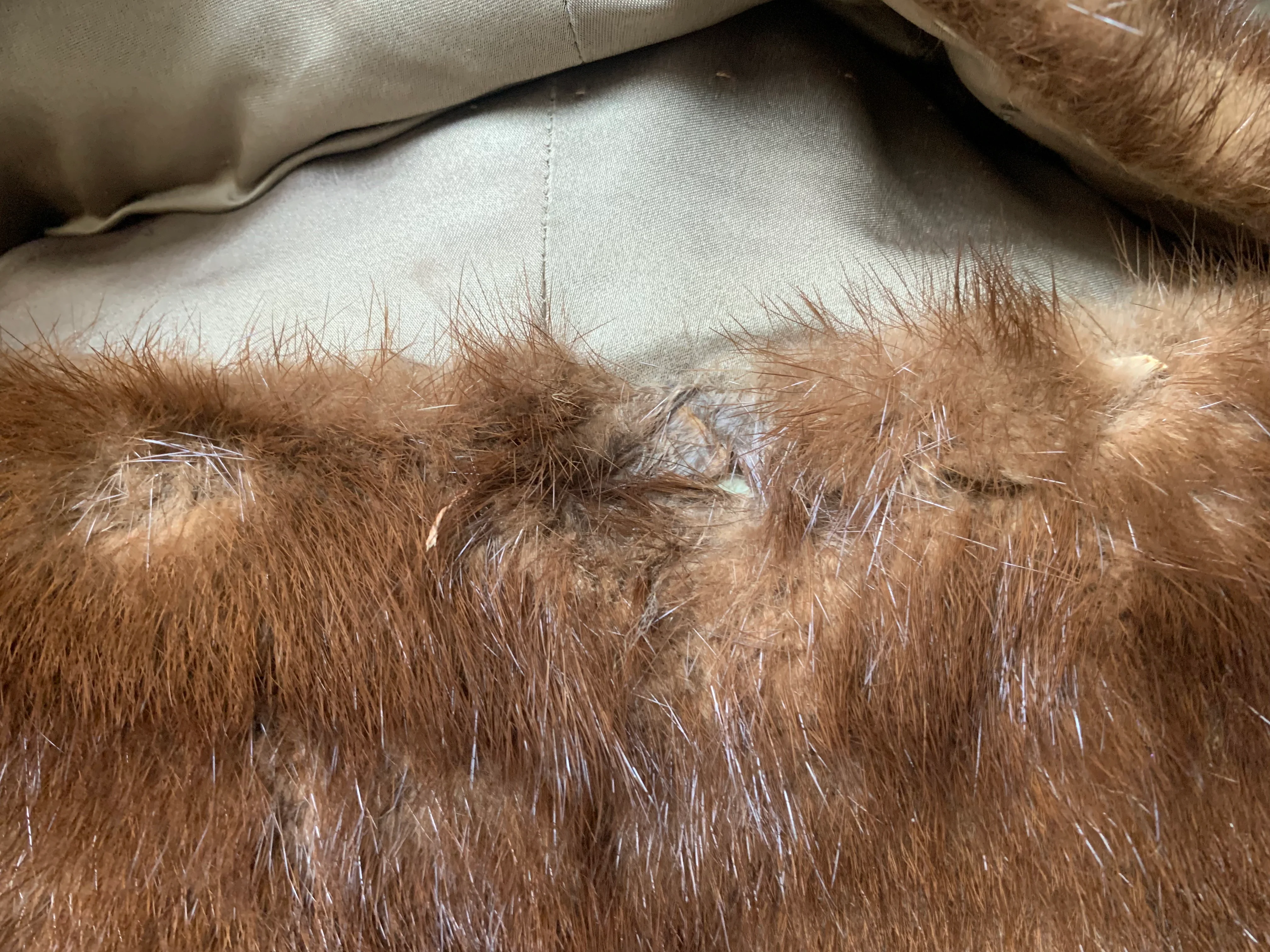 50s/60s Brown Mink Wedding Stole Capelet Wounded Bird - Image 10
