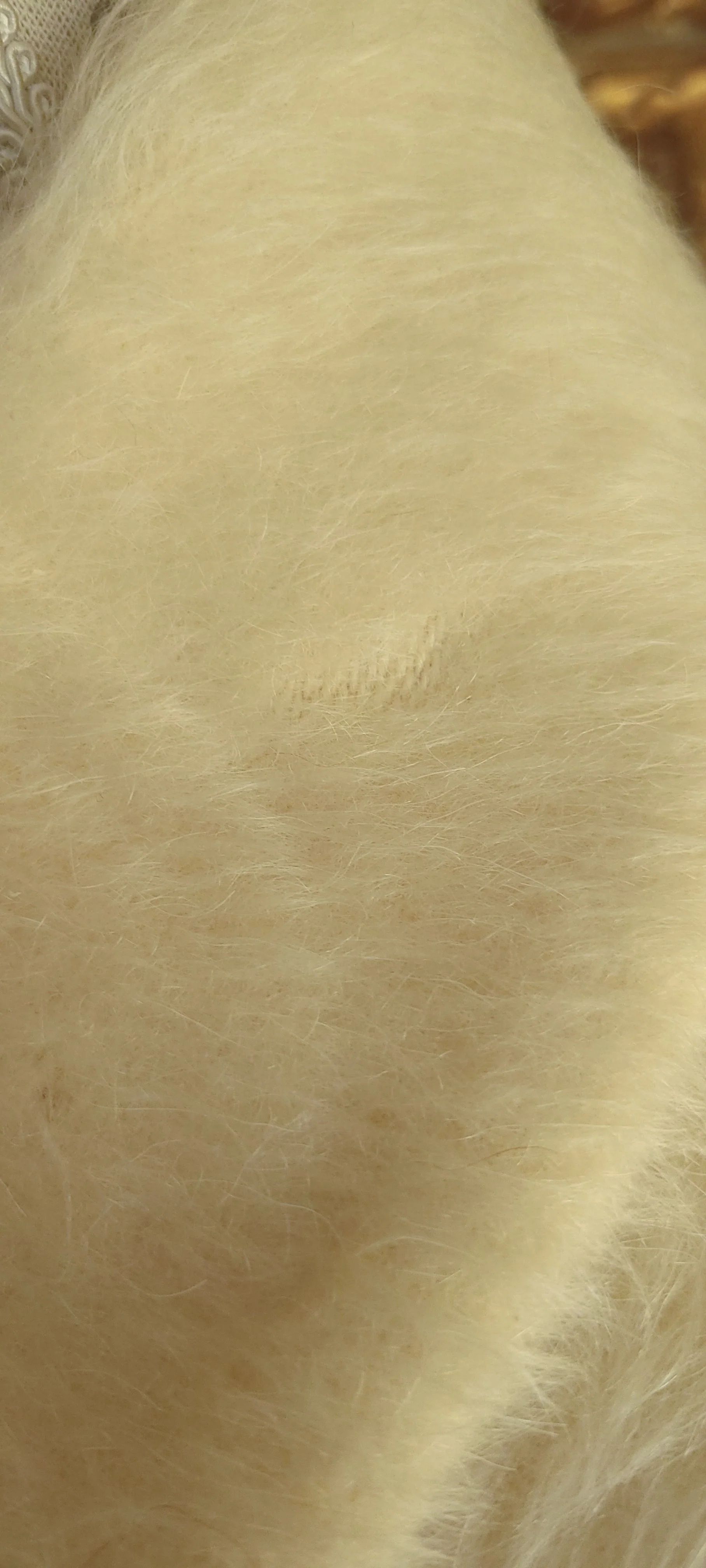 50s/60s Creamy White Mohair Swing Coat By Lilli Ann - Image 9