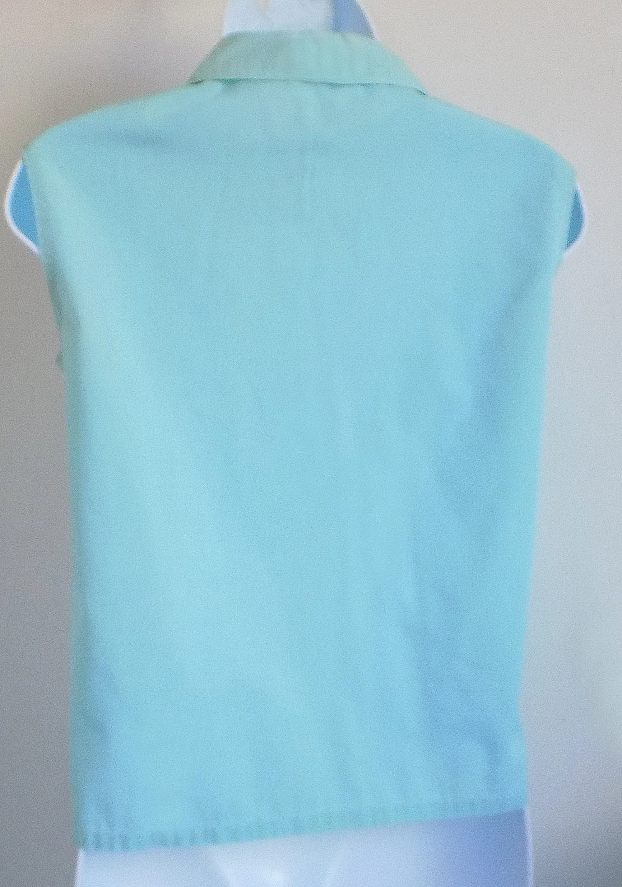 50s Aqua Rockabilly Button Collar Blouse Rnr Stand Up Collar Cotton Sleeveless Jive - Image 3