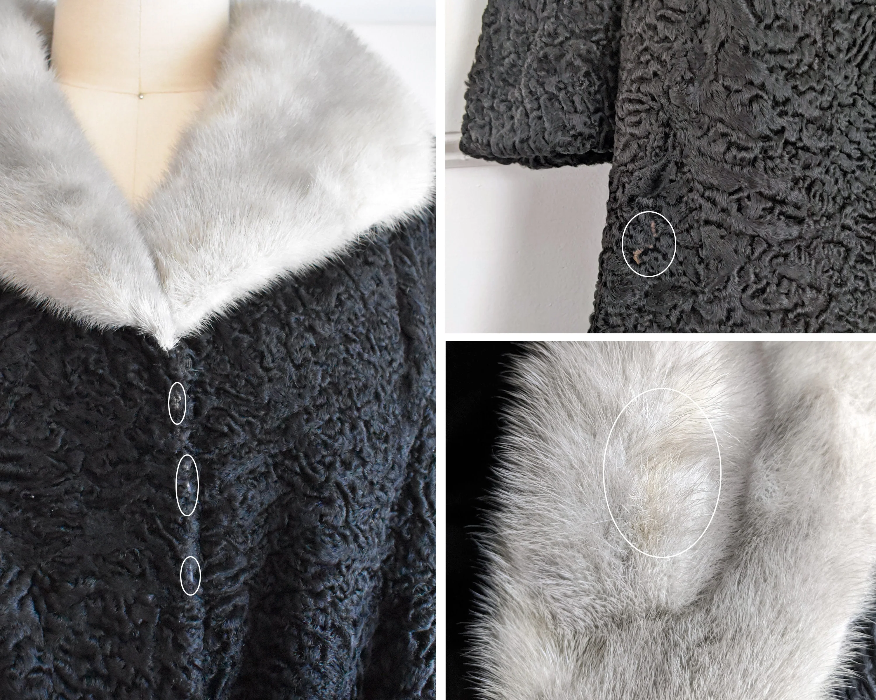 50s Black Curly Lamb Fur Coat Vintage 50s Coat, Persian Lamb with Silver Gray Mink Collar Coat, Medium Large by Lipsitz Furs Buffalo - Image 8