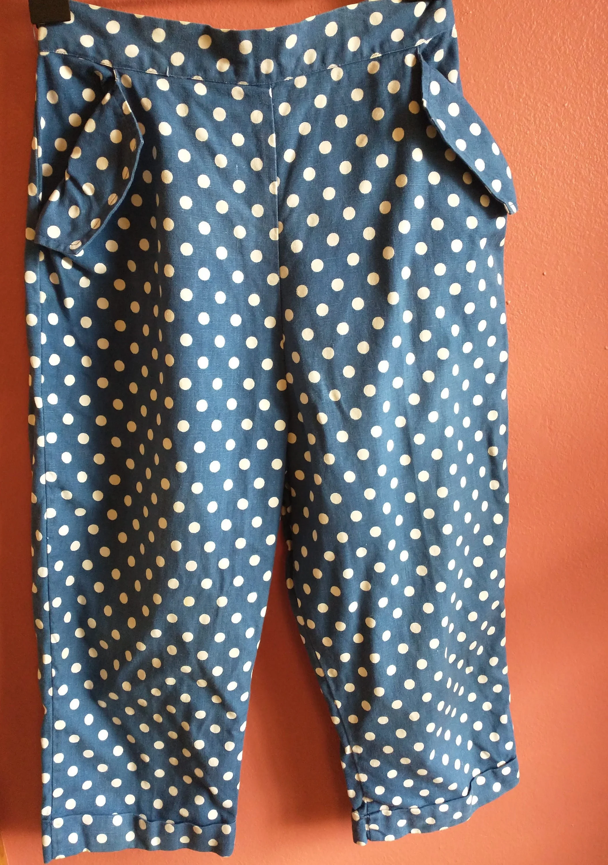 50s Capri Peddle Pushers Womens Small Blue and White Polka Dot Rockabilly Summer by Foster-Hochberg - Image 4