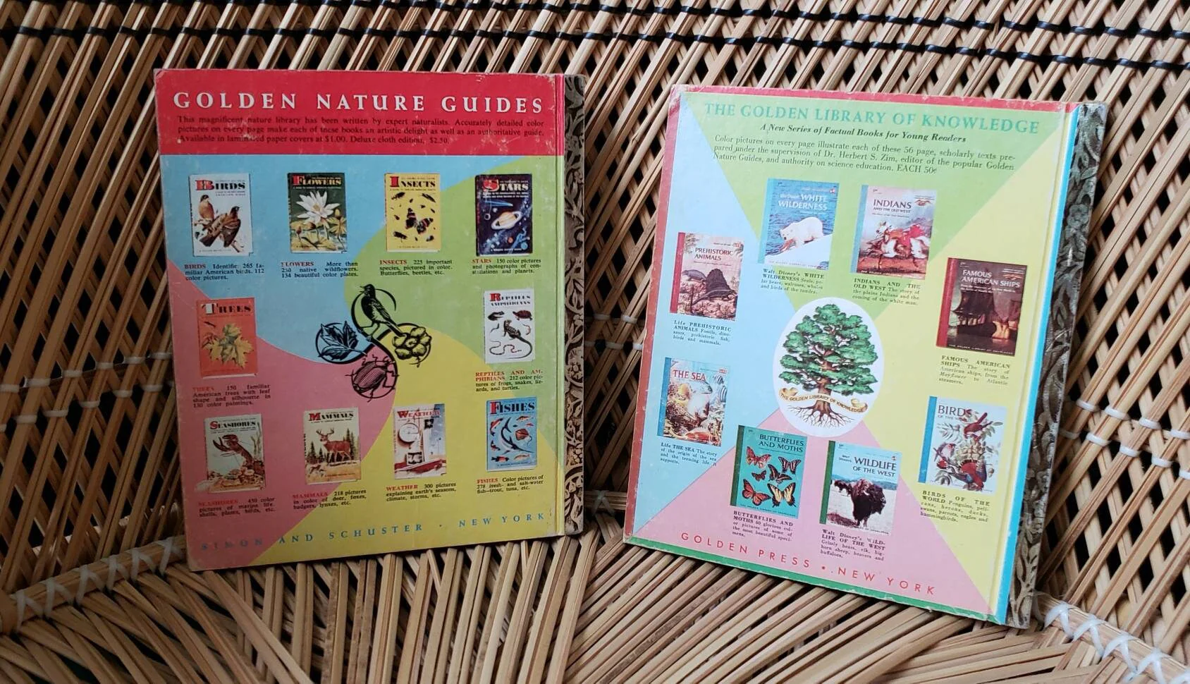 50s Dog and Cat Little Golden Books Set of 2 1957 The New Kittens and 1959 Disney's The Shaggy Dog by Walt Disney - Image 10