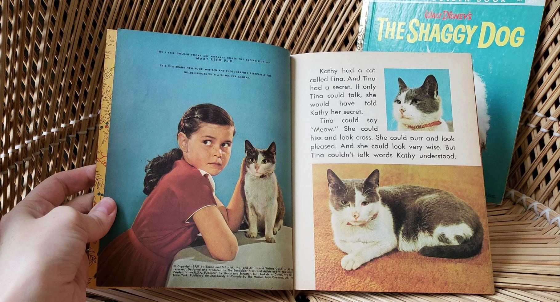 50s Dog and Cat Little Golden Books Set of 2 1957 The New Kittens and 1959 Disney's The Shaggy Dog by Walt Disney - Image 4