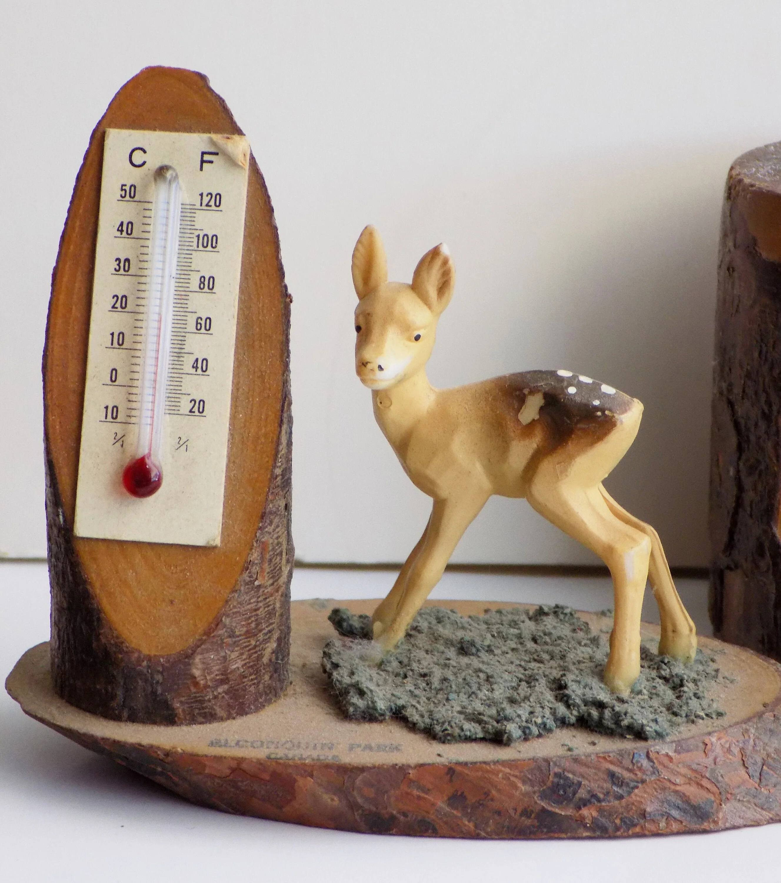 50s Salt and Pepper Souvenir Set with Thermometer and Toothpick Holder From Algonquin Park Canada Made In Japan - Image 2