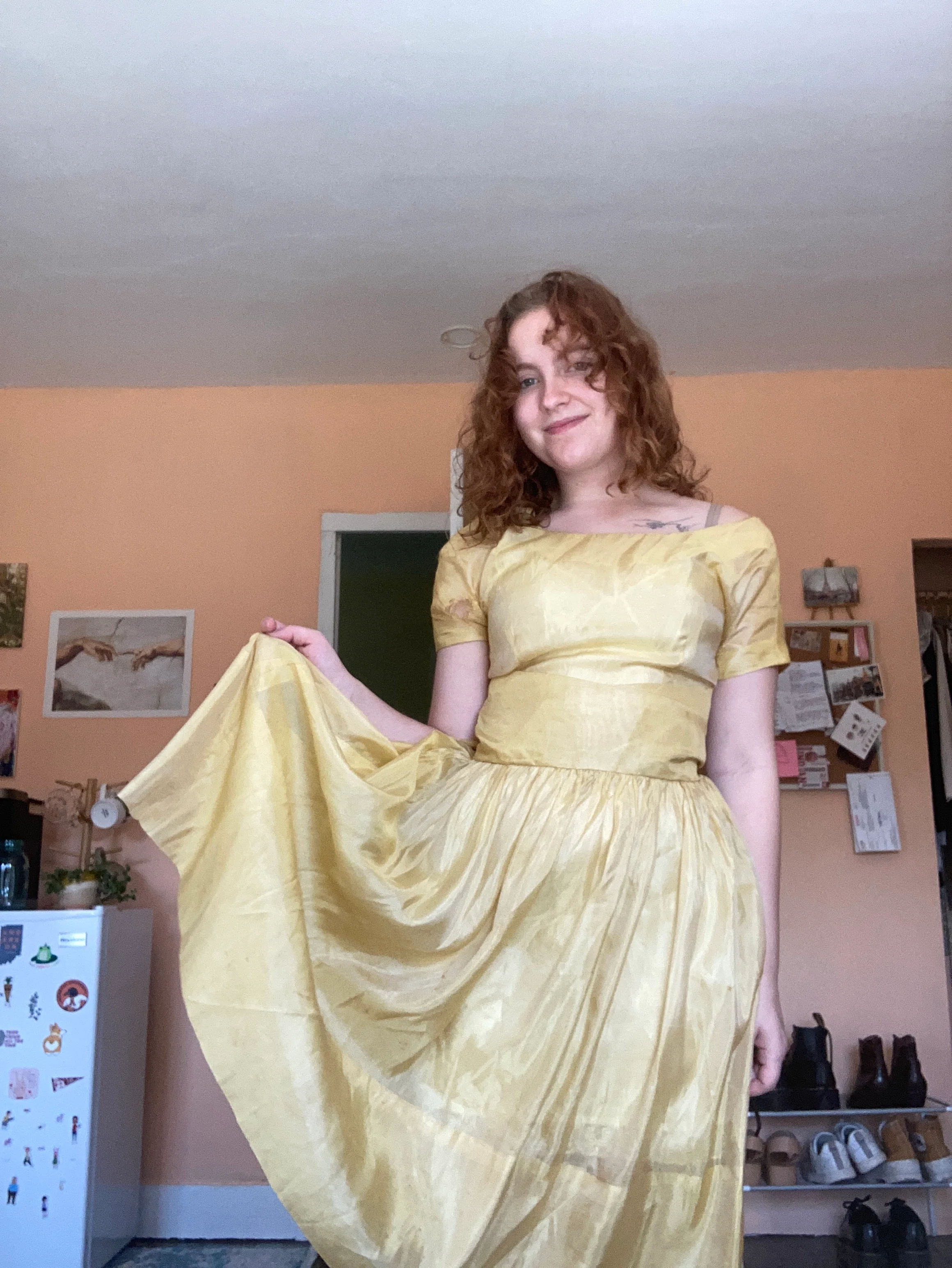 50s Sheer Organza Party Dress - Image 3