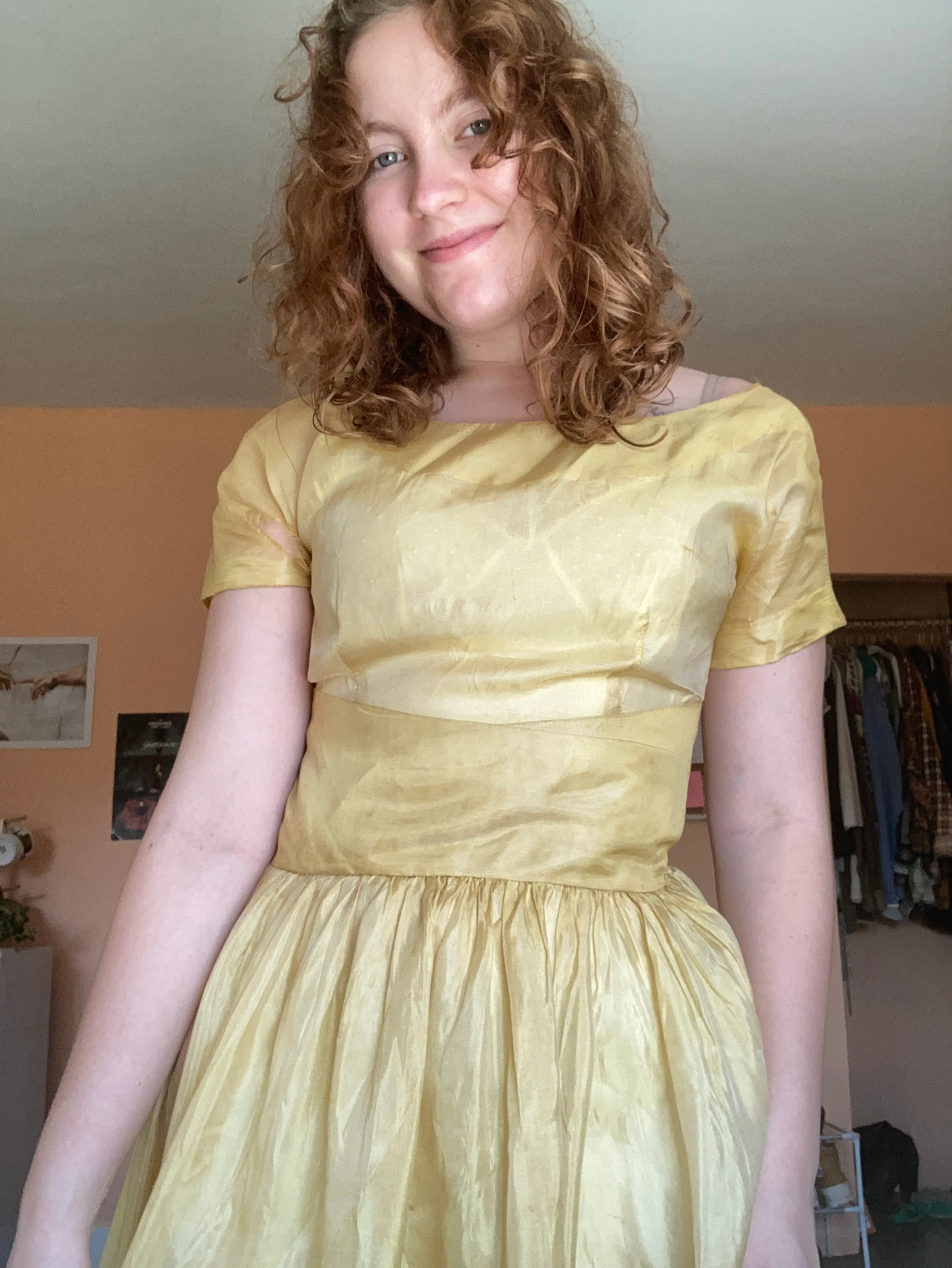 50s Sheer Organza Party Dress - Image 4