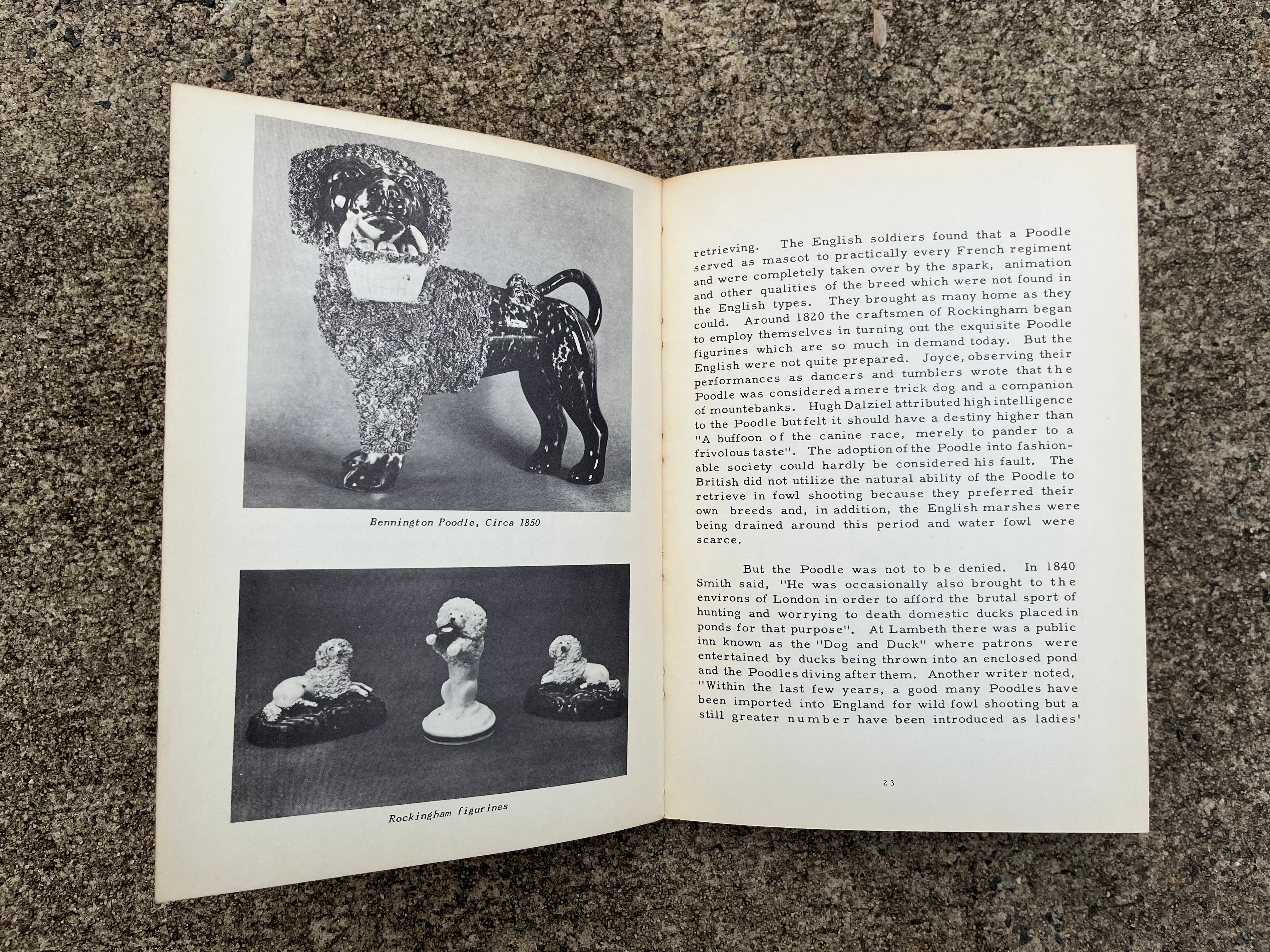 50s The Poodle: Its Origin History And Varieties Book by TH Tracy - Image 10