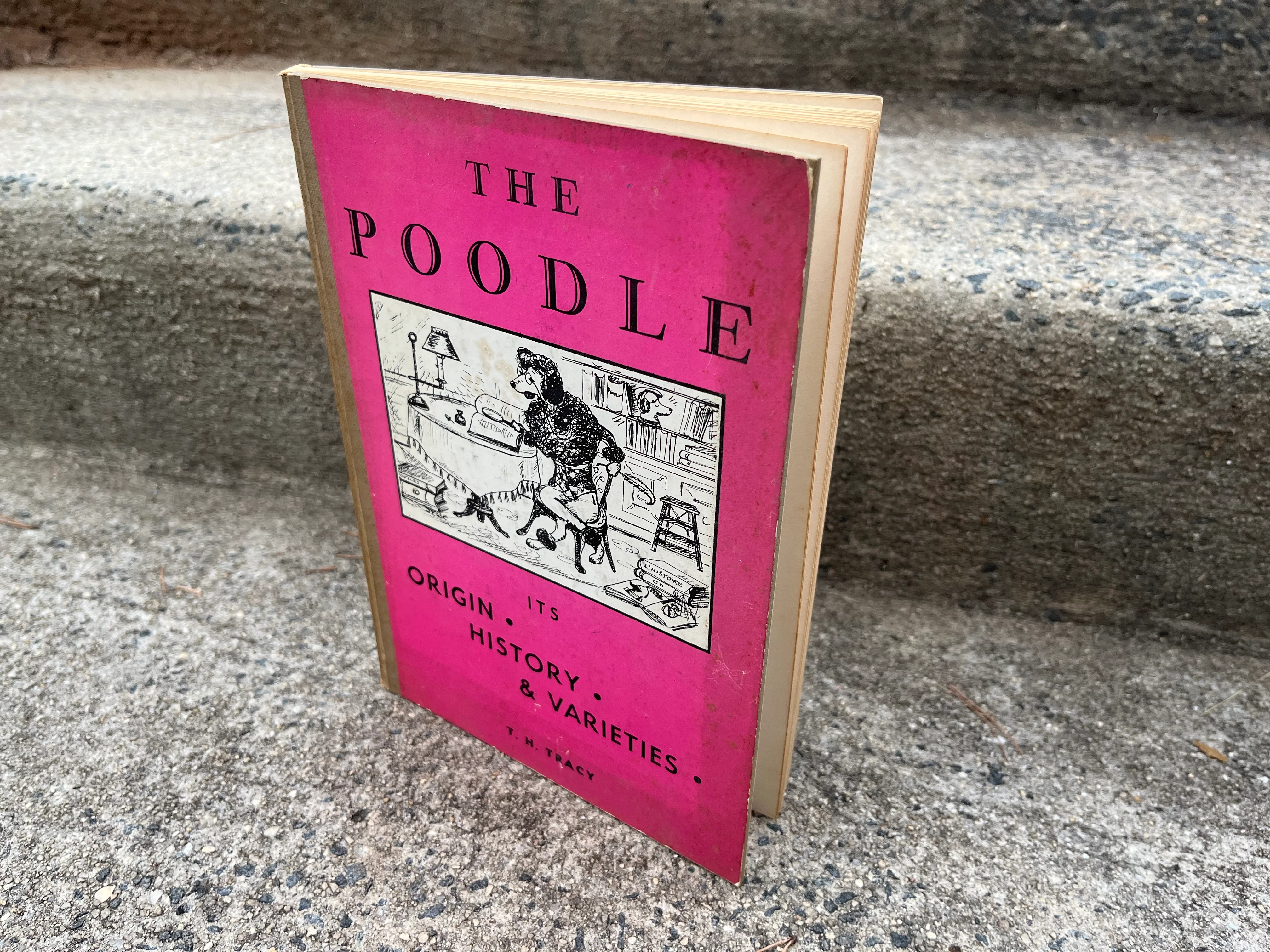 50s The Poodle: Its Origin History And Varieties Book by TH Tracy - Image 3