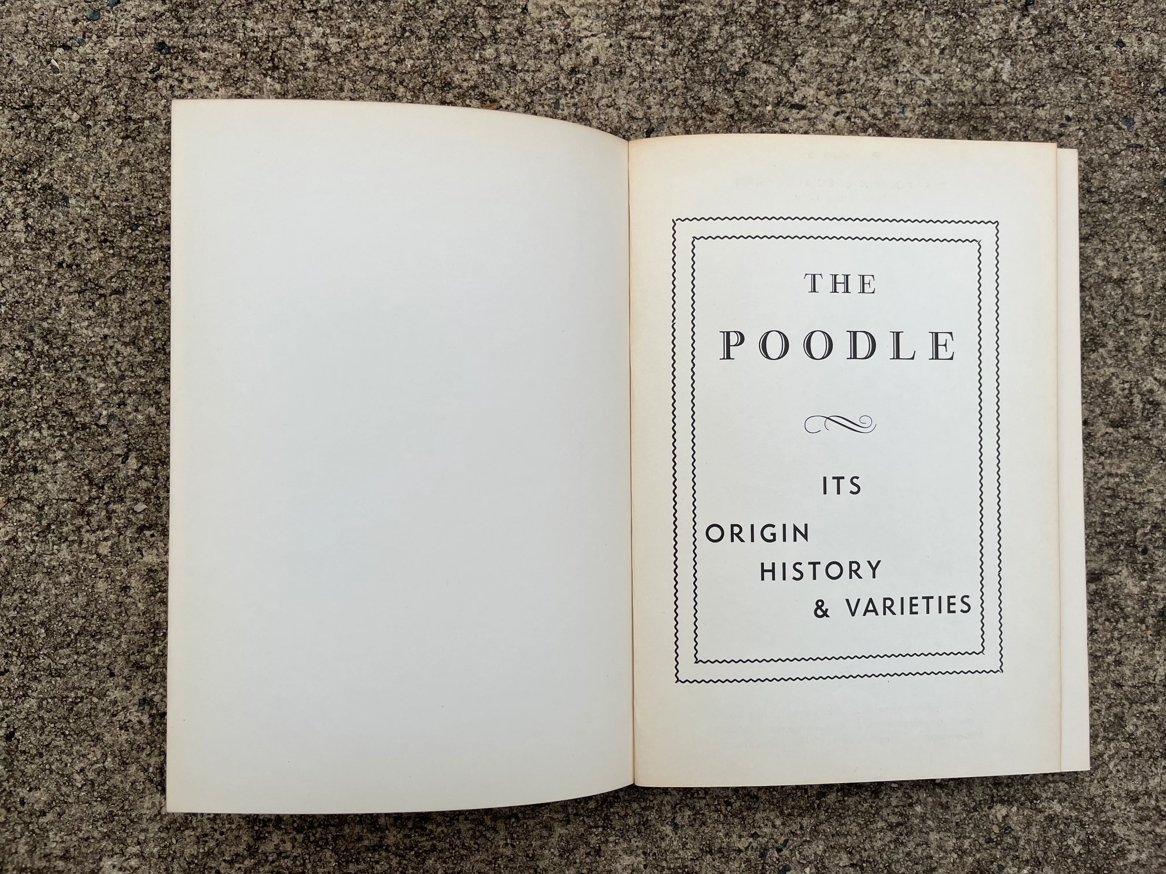 50s The Poodle: Its Origin History And Varieties Book by TH Tracy - Image 5