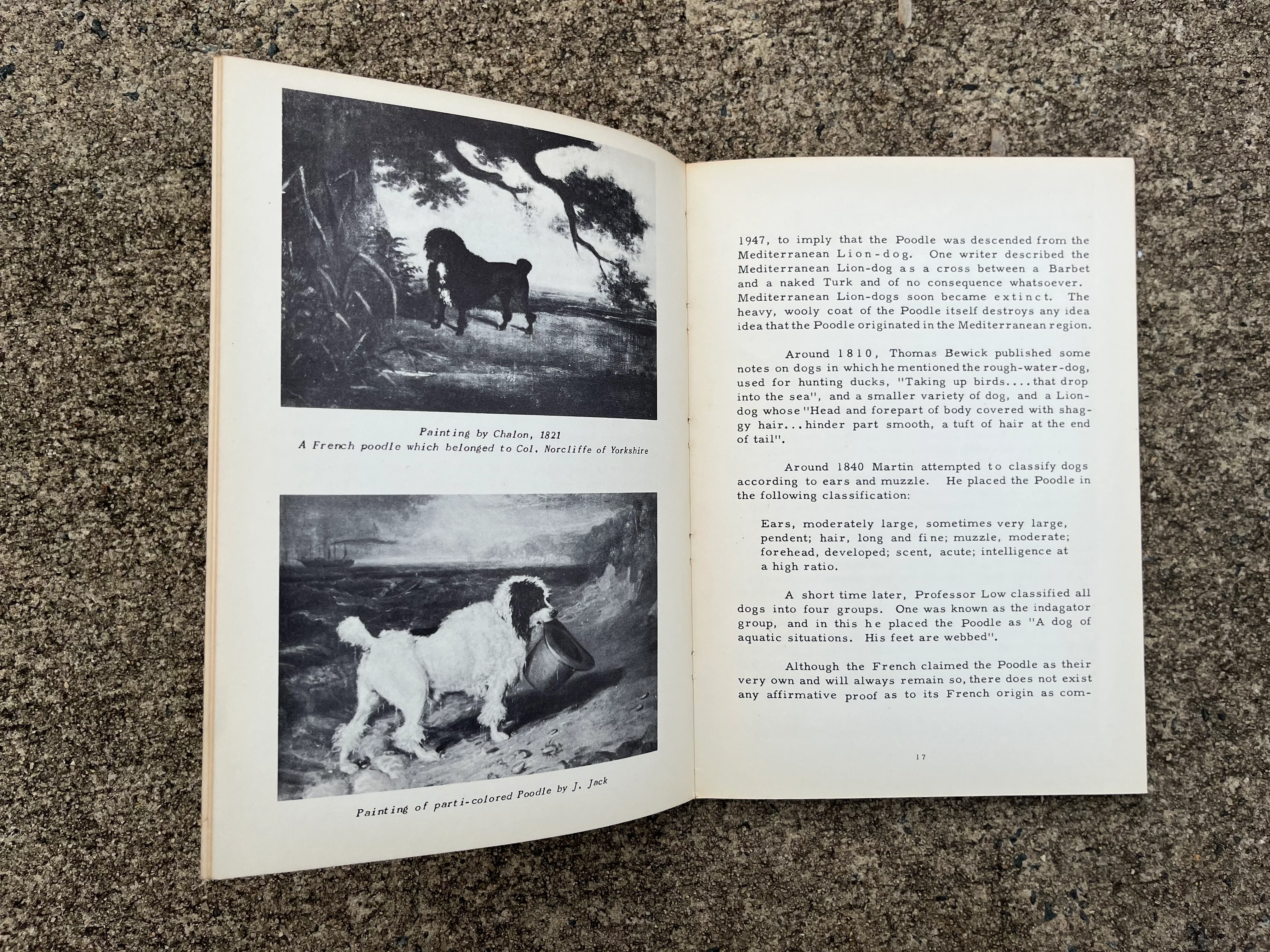 50s The Poodle: Its Origin History And Varieties Book by TH Tracy - Image 9