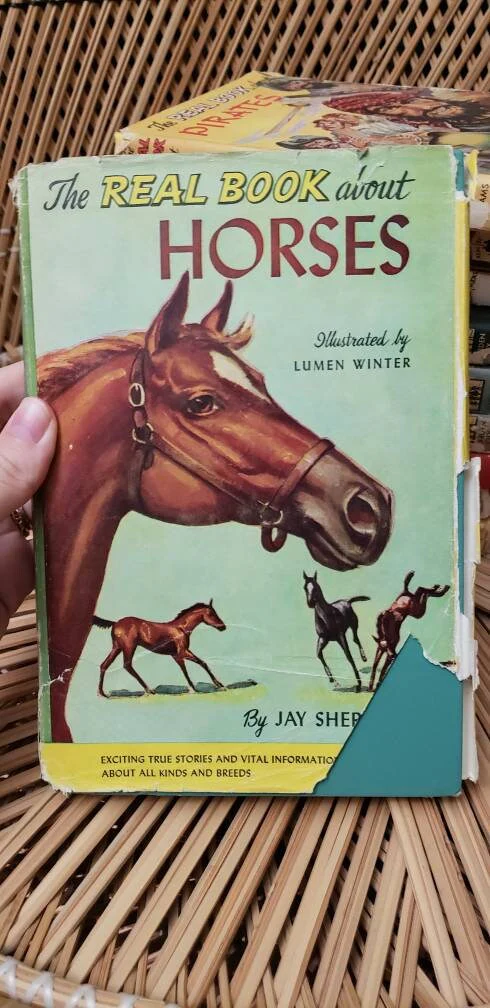 50s The Real Book About Set of 10 The Real Book About The Sea Pirates Horses Amazing Animals Baseball Camping Farms Antarctica and More by Arch Whitehouse - Image 10