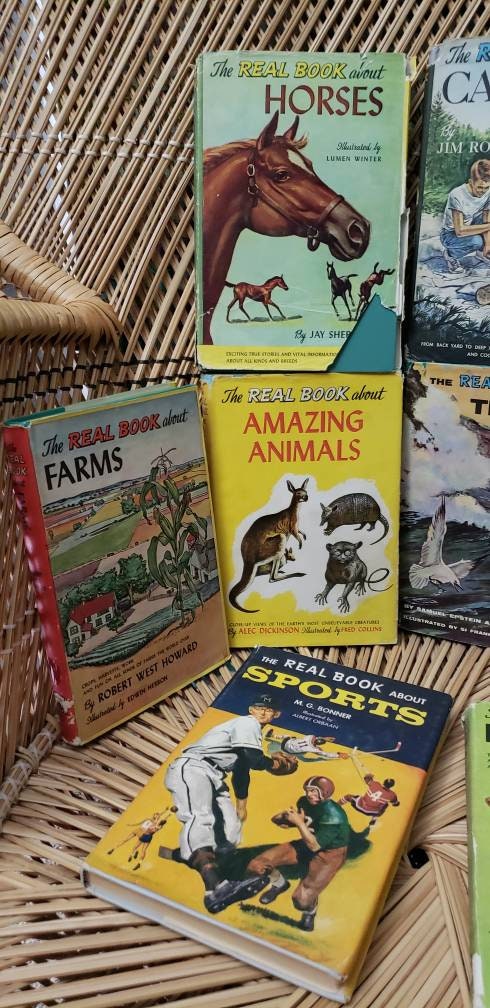50s The Real Book About Set of 10 The Real Book About The Sea Pirates Horses Amazing Animals Baseball Camping Farms Antarctica and More by Arch Whitehouse - Image 3