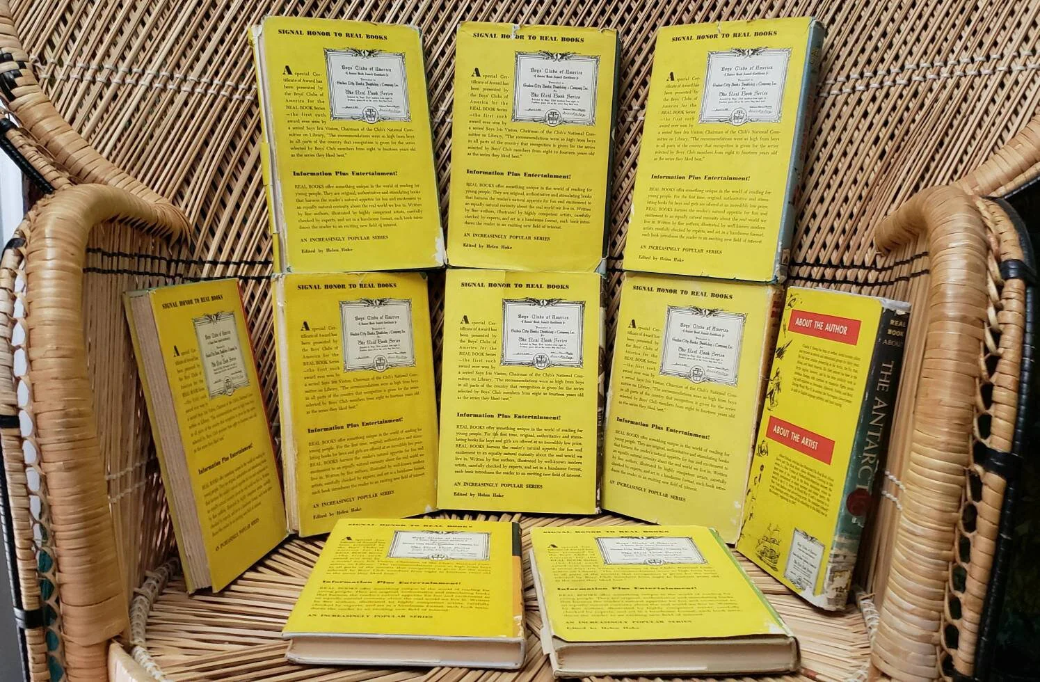 50s The Real Book About Set of 10 The Real Book About The Sea Pirates Horses Amazing Animals Baseball Camping Farms Antarctica and More by Arch Whitehouse - Image 5