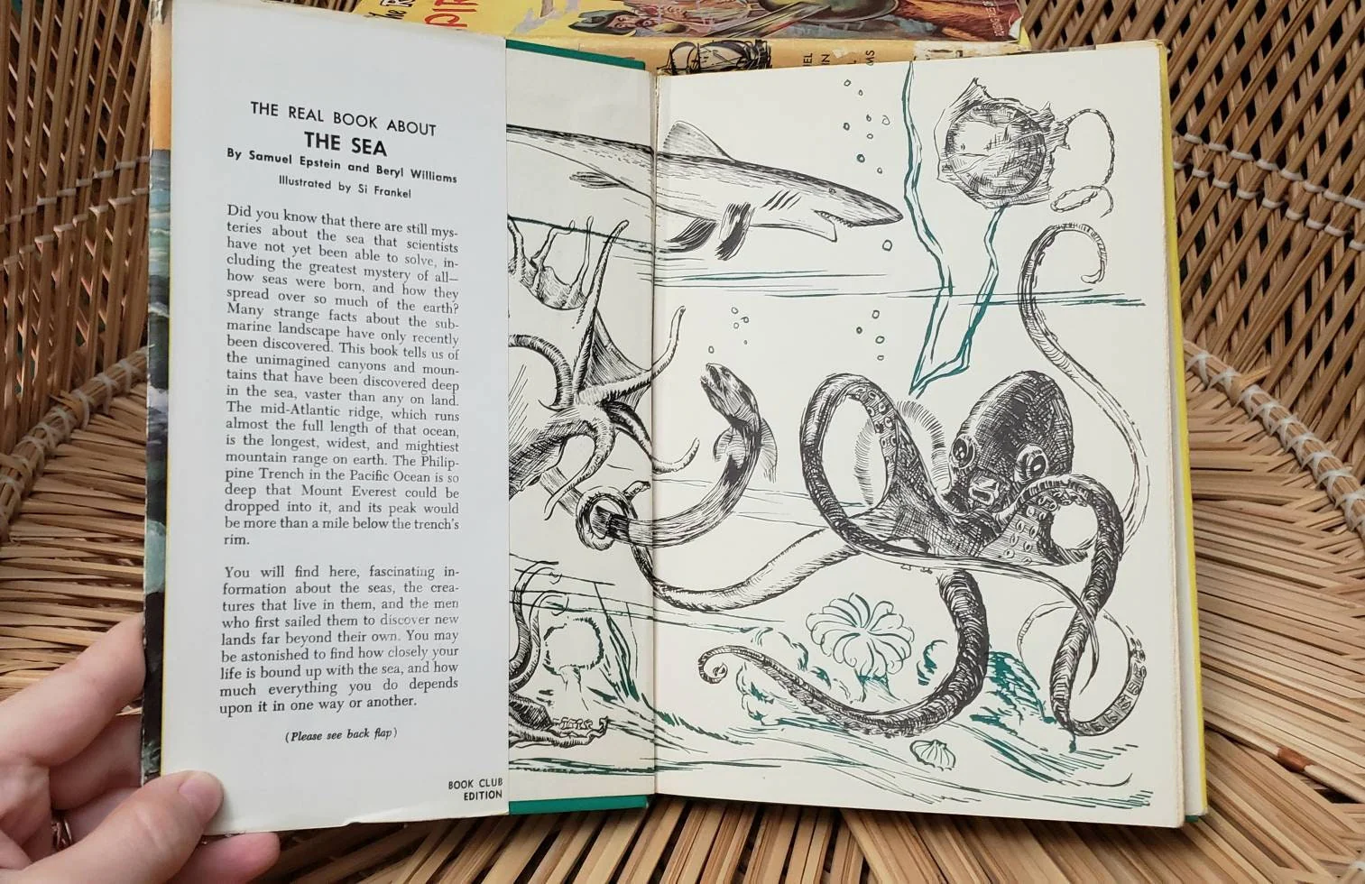 50s The Real Book About Set of 10 The Real Book About The Sea Pirates Horses Amazing Animals Baseball Camping Farms Antarctica and More by Arch Whitehouse - Image 7