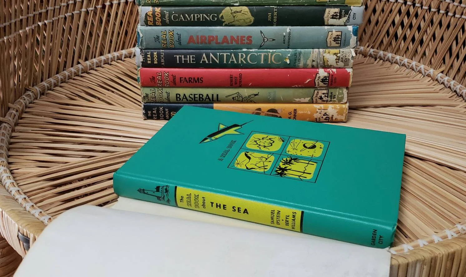 50s The Real Book About Set of 10 The Real Book About The Sea Pirates Horses Amazing Animals Baseball Camping Farms Antarctica and More by Arch Whitehouse - Image 9