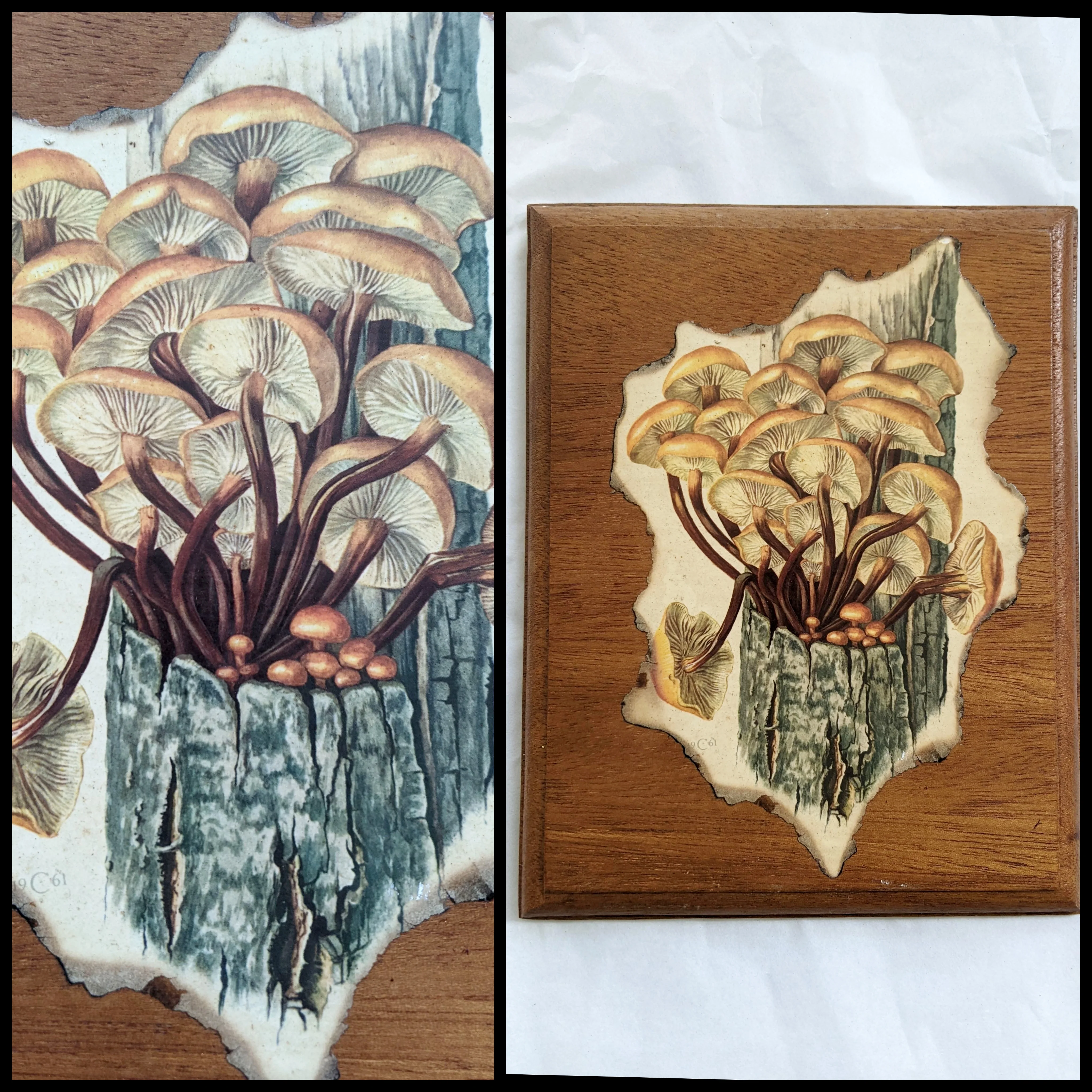 60s/70s 1961 Claus Caspari Velvet Shank Mushroom Plaque - Image 3
