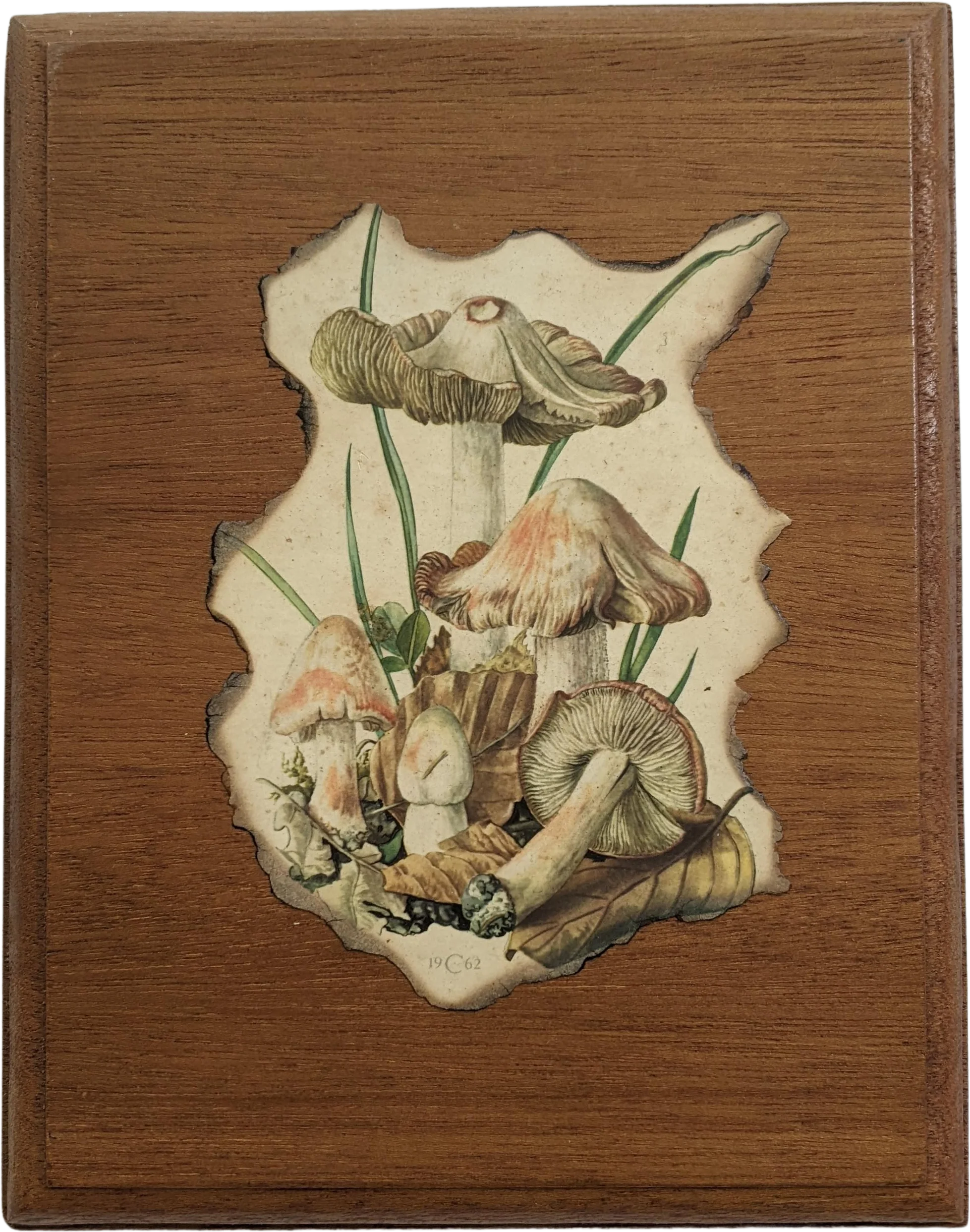 60s/70s 1962 Claus Caspari Deadly Fibrecap Mushroom Plaque