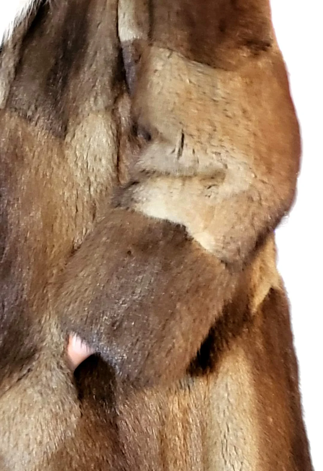 60s/70s Muskrat And Fox Fur Mod Rich Auntie Coat by Halle Bros - Image 7