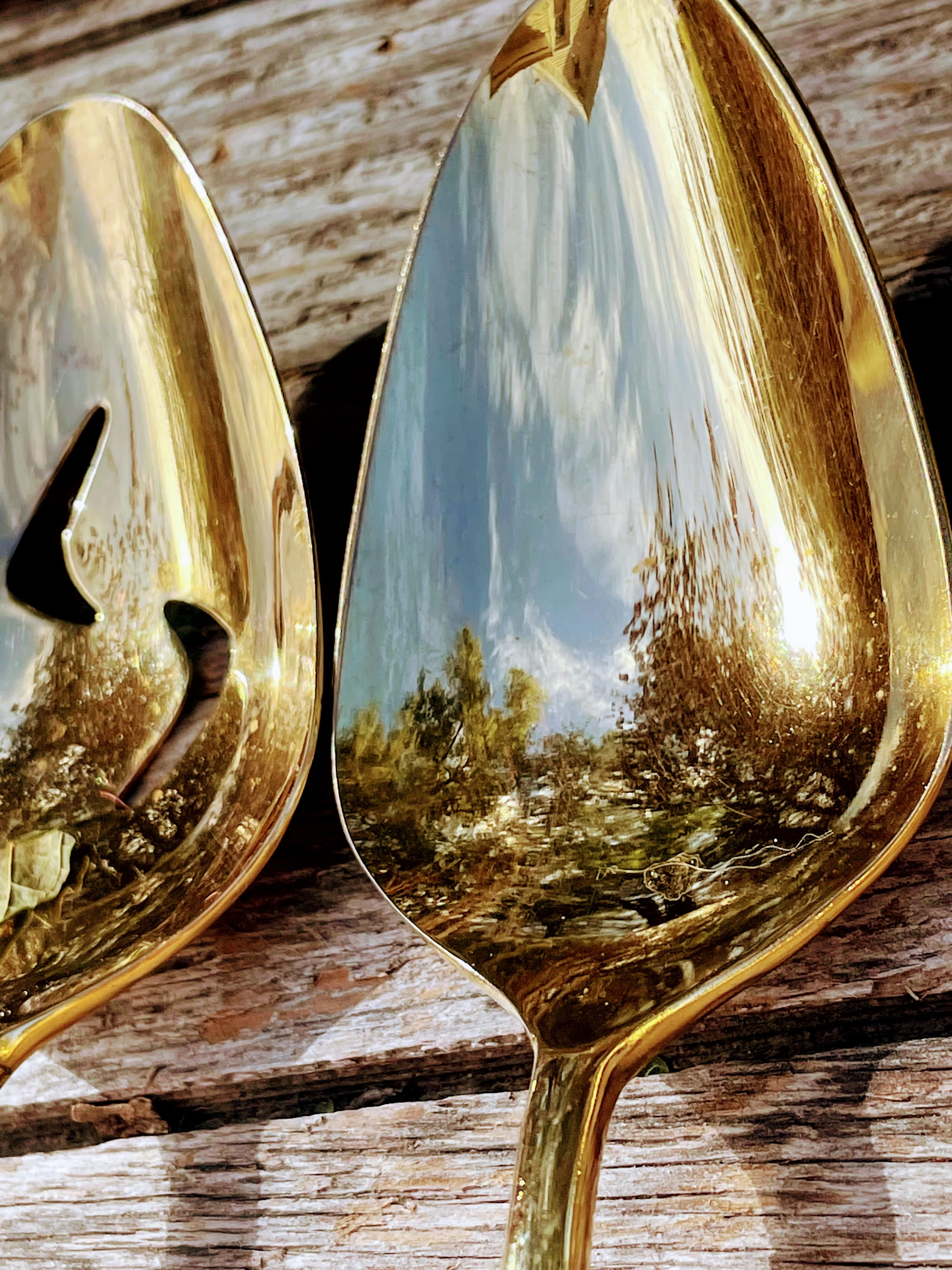 60s Bamboo Mcm Stainless Gold Flatware Serving Set By Supreme Cutlery - Image 10