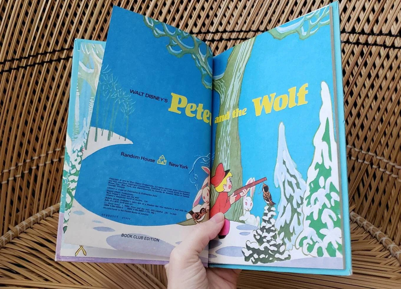70s/80s Disney Books Buy 1 Or All Disney's Wonderful World of Reading Books with Matte Covers, Variety of Titles Available - Image 10