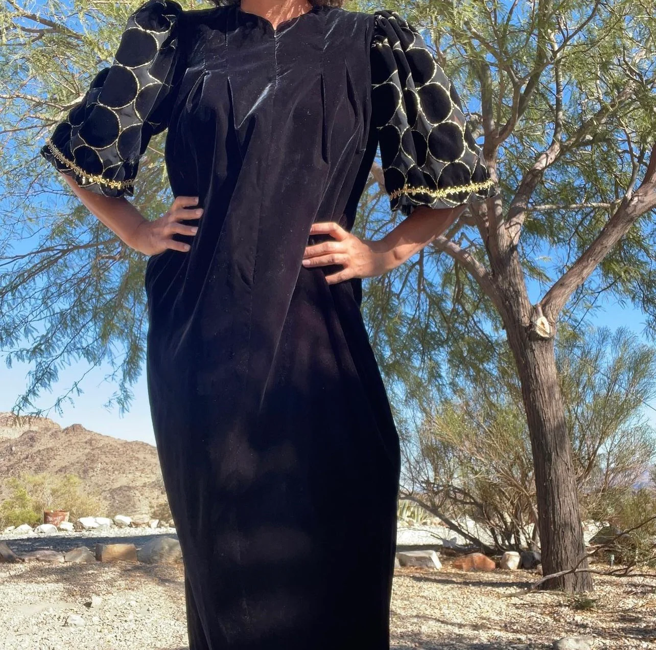 70s/80s Gorgeous Velvet Gown With Velvet And Sheer Sleeves By David Brown for Neiman Marcus - Image 4