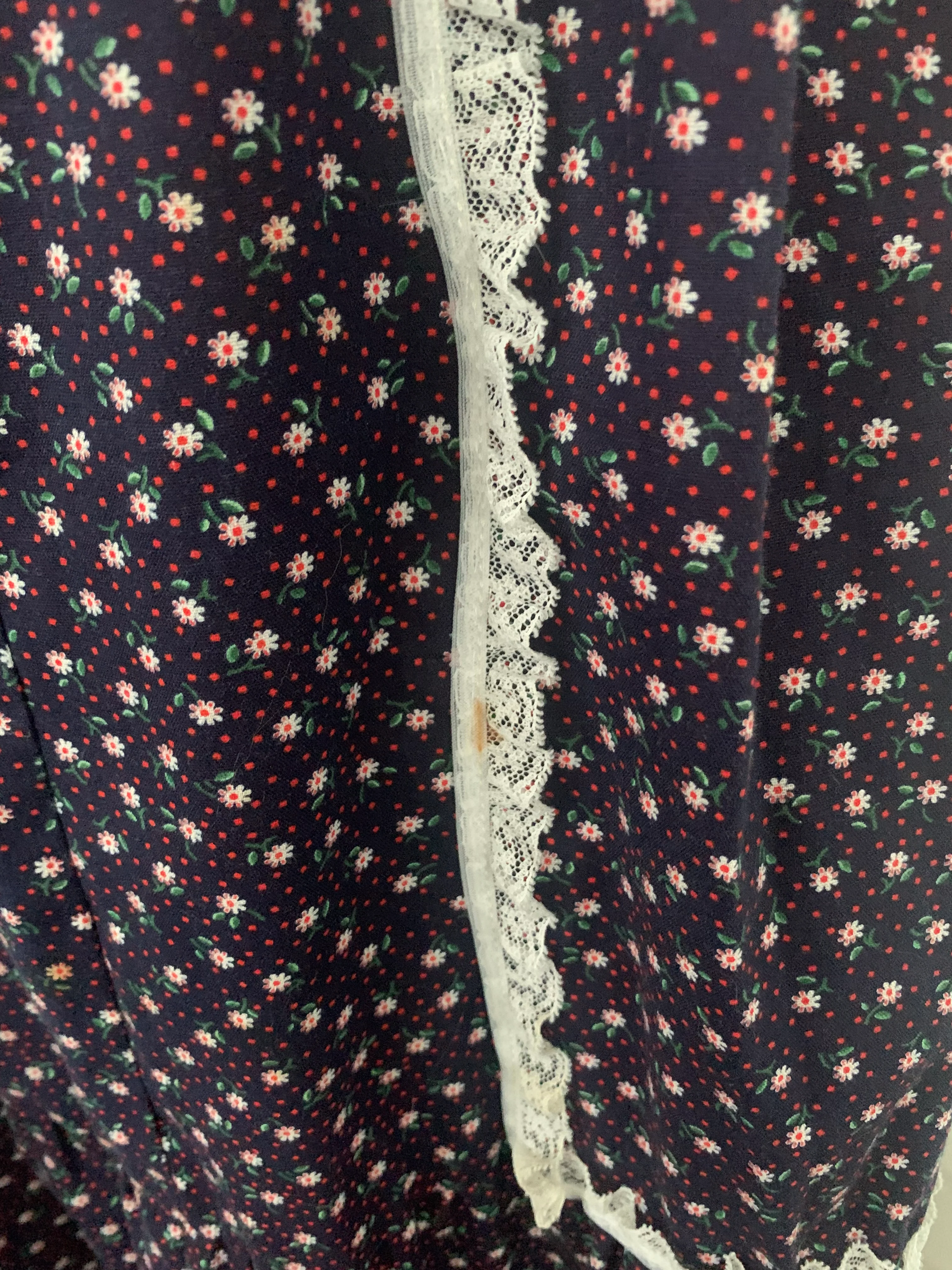 70s Homestead Dress Prairie Folk Western Floral Blue - Image 6
