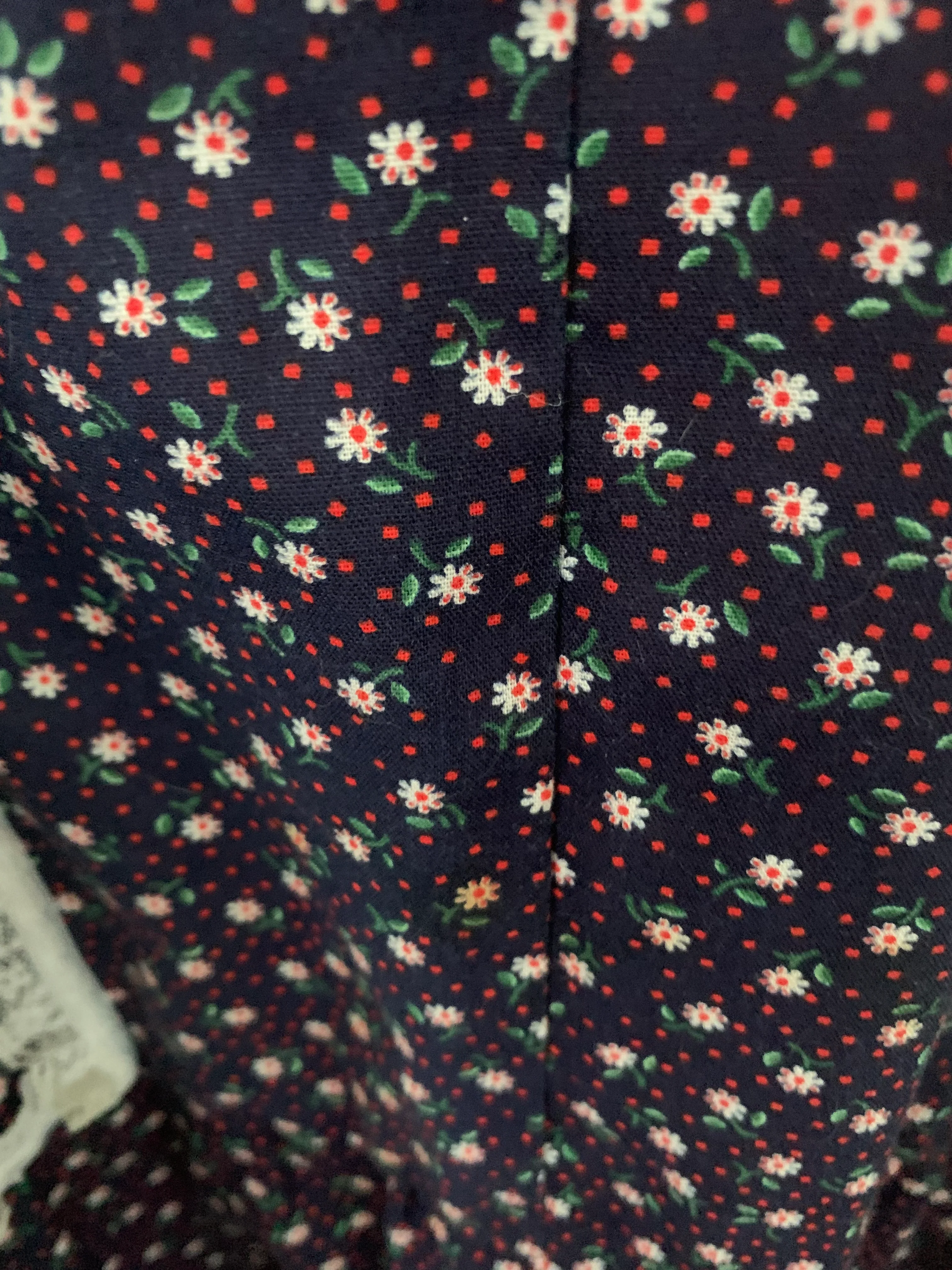 70s Homestead Dress Prairie Folk Western Floral Blue - Image 7