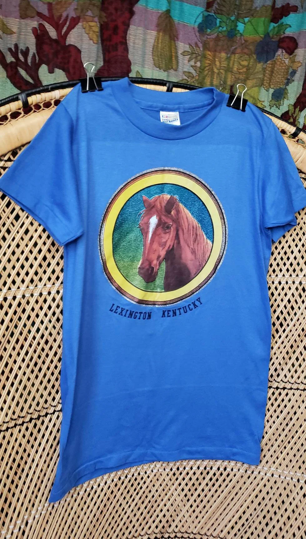 70s Lexington Kentucky Horse Tee Kids Lg 14-16 - Image 3