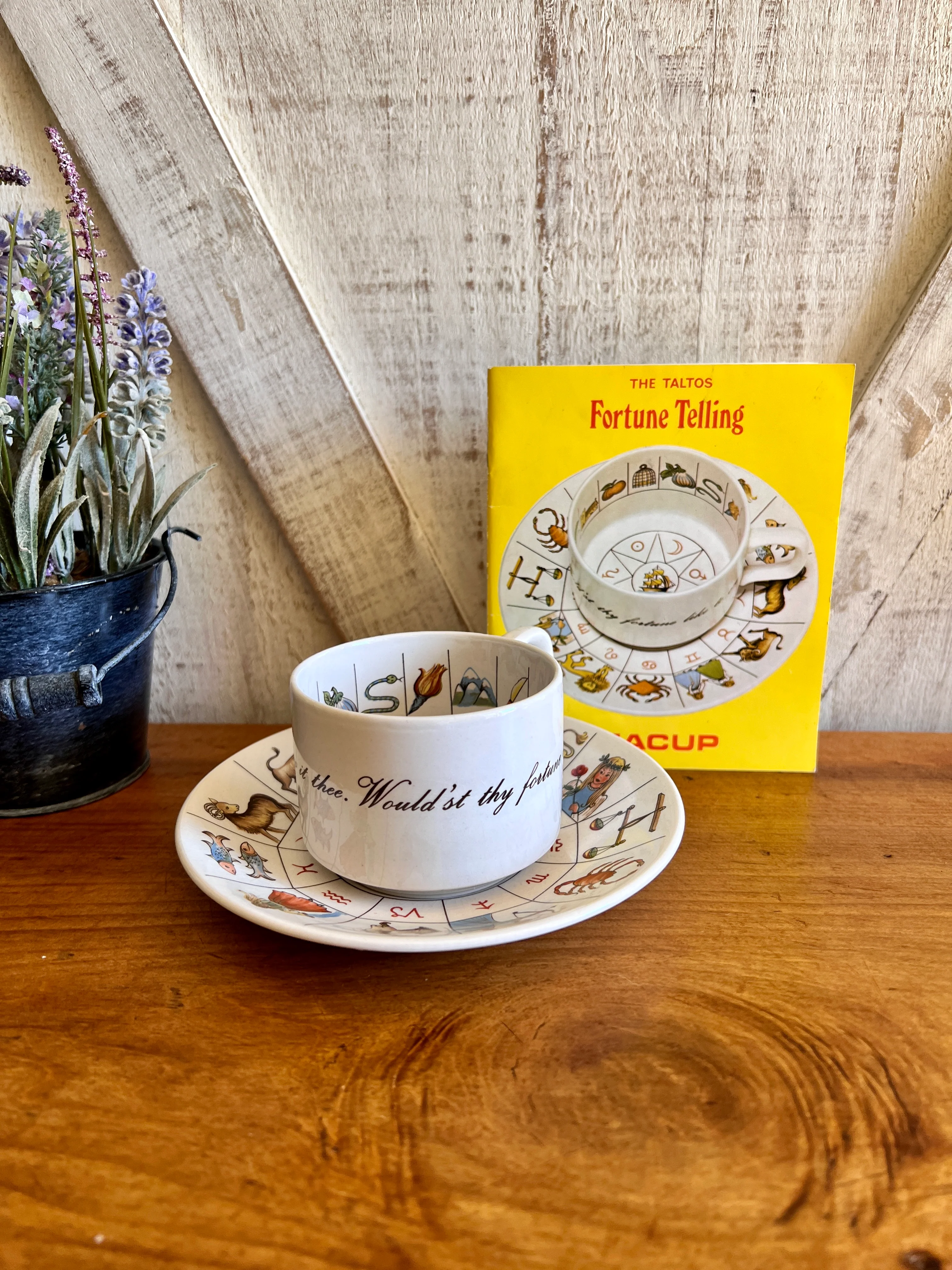 70s Retro 1970 Fortune Telling Teacup Saucer Booklet By Jon Anton Ironstone - Image 3