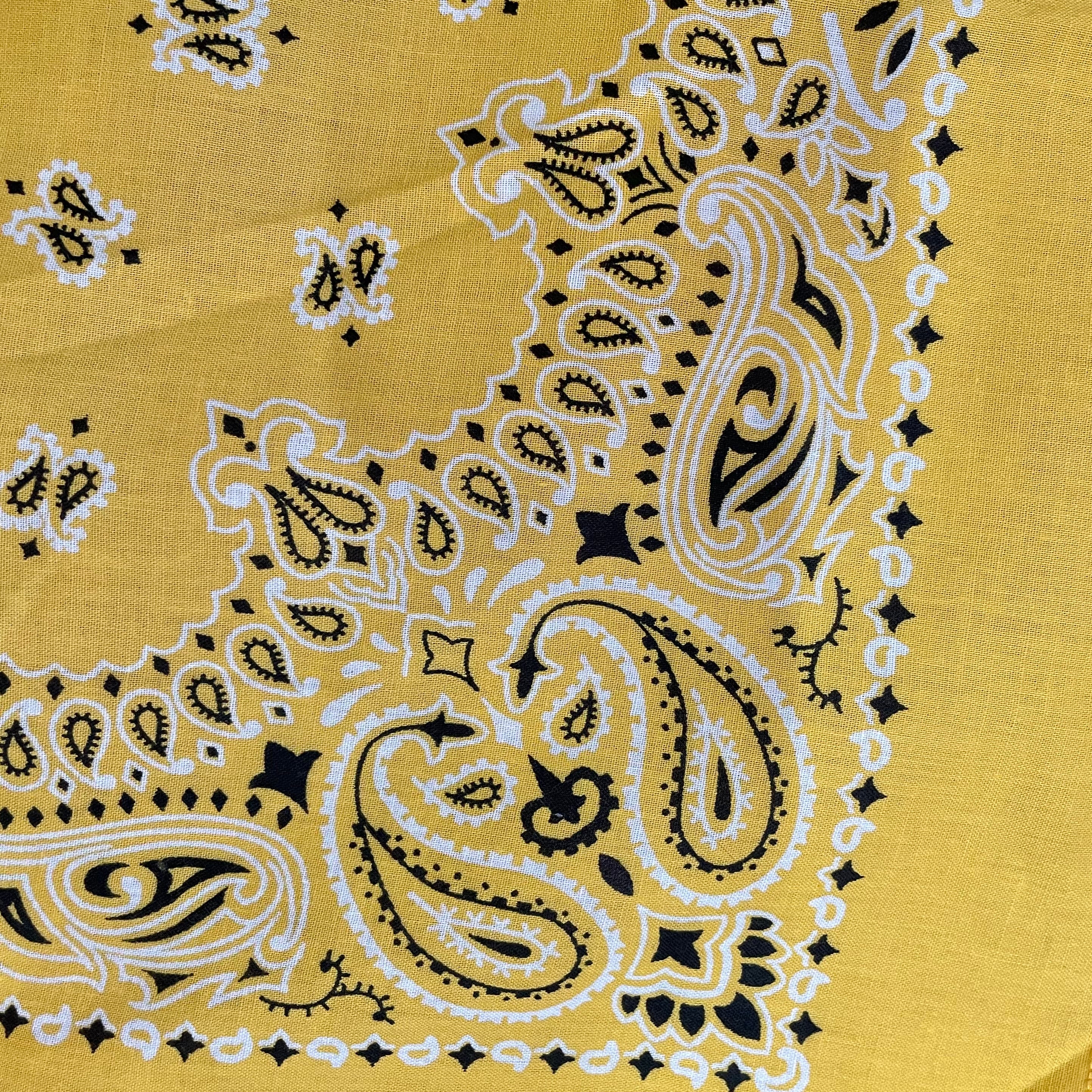 80s/90s Paisley Print 100% Cotton Bandana By Hav-a-Hank - Image 3