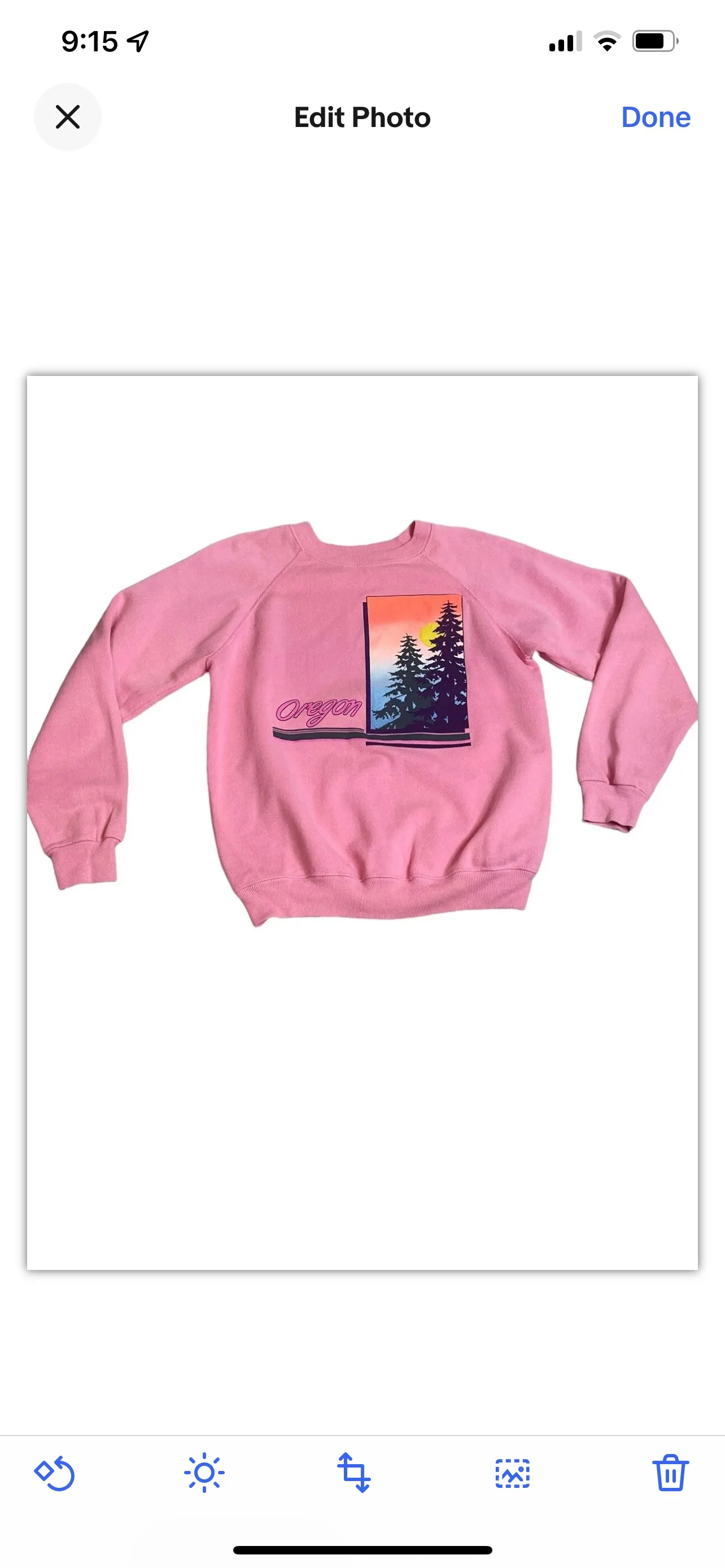 80s/90s State Of Oregon Tree Sunset Sky Graphic Sweatshirt By Hanes - Image 3